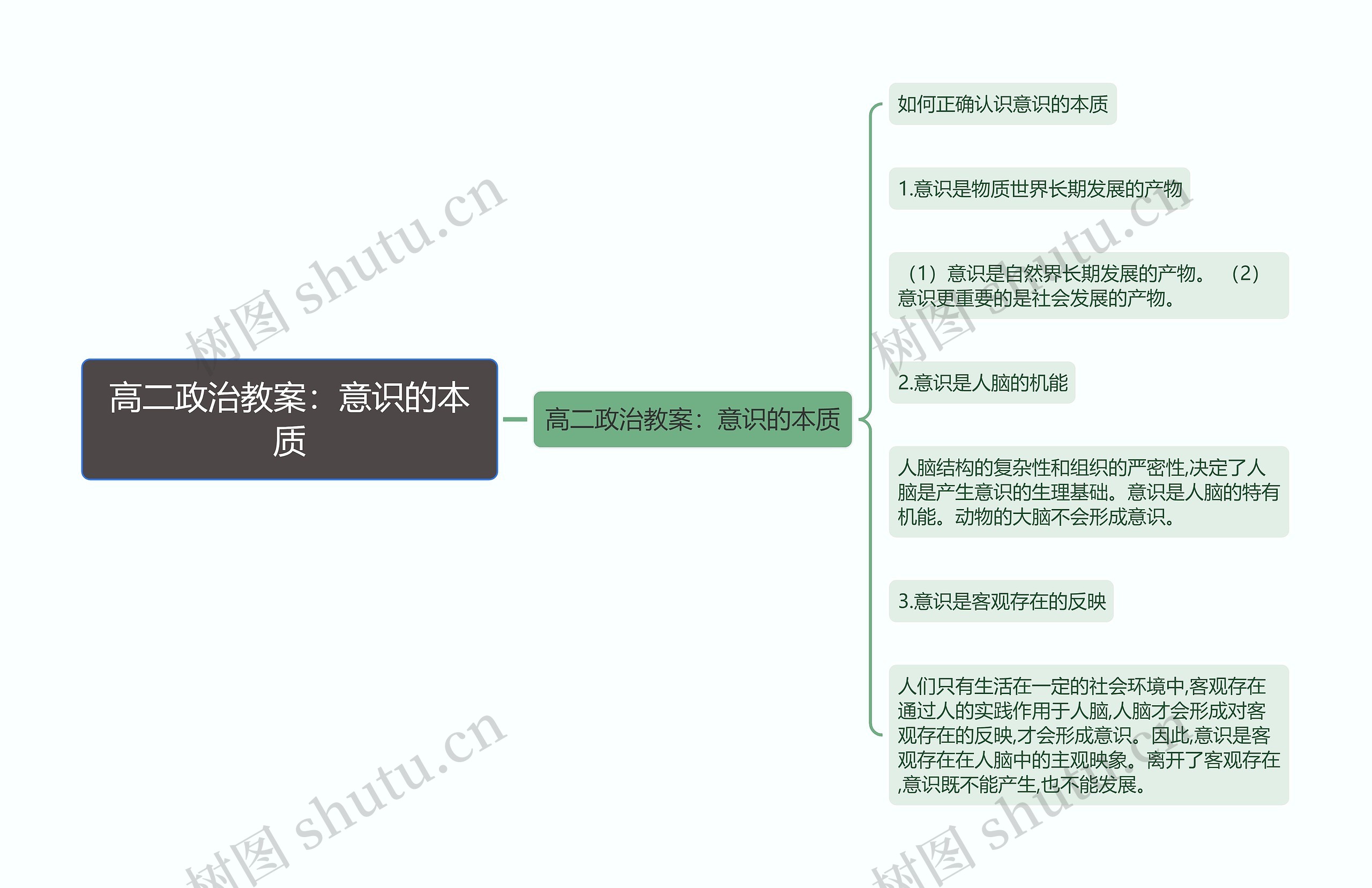 高二政治教案：意识的本质思维导图