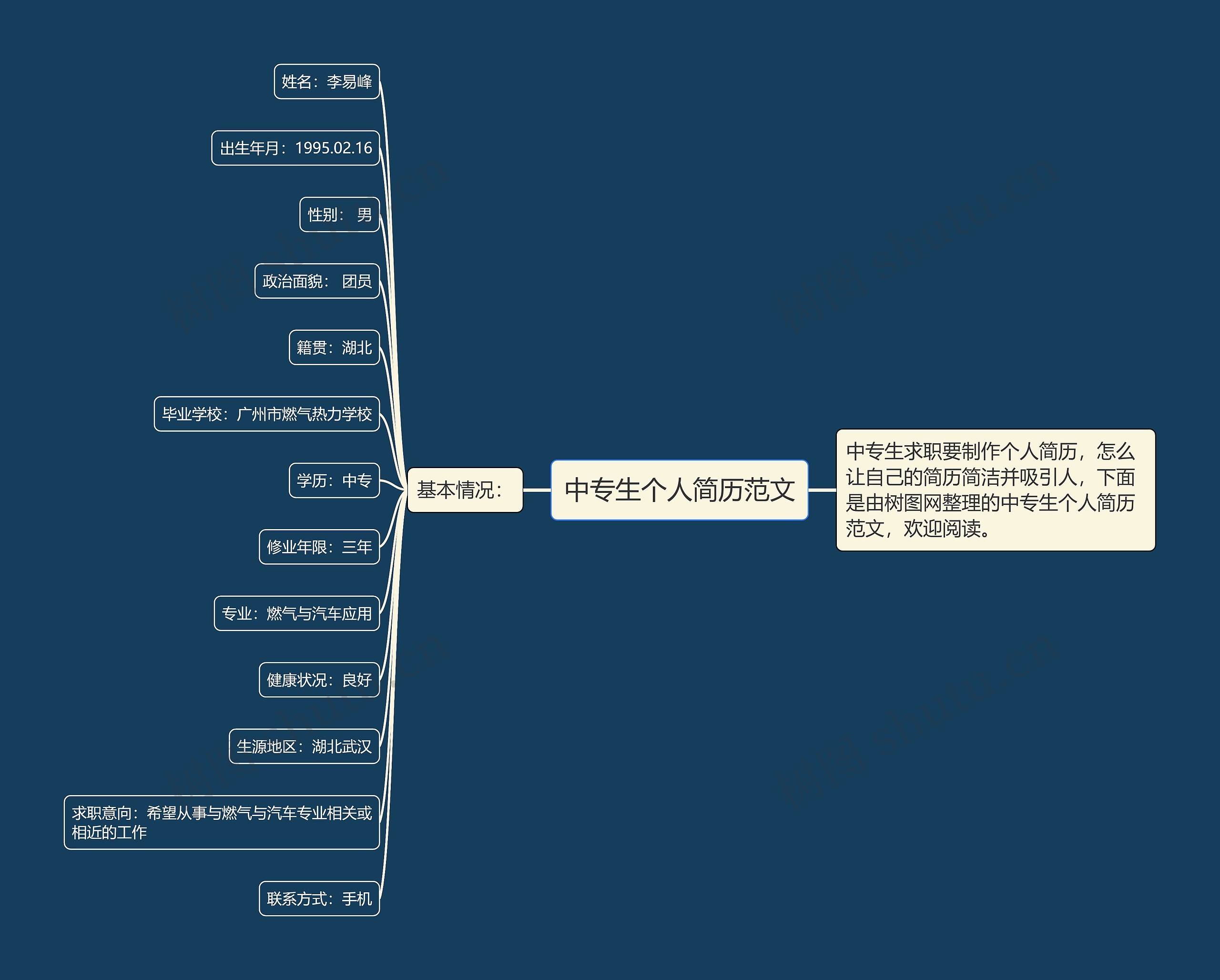 中专生个人简历范文