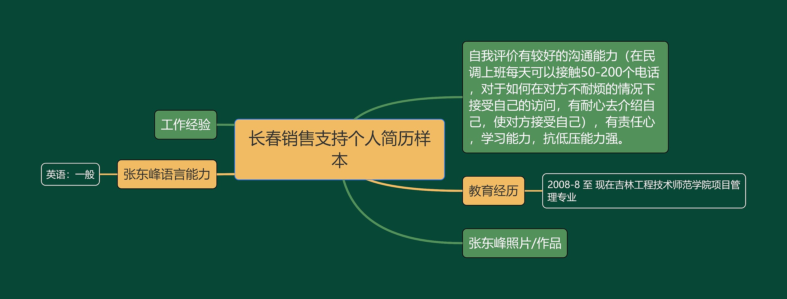 长春销售支持个人简历样本