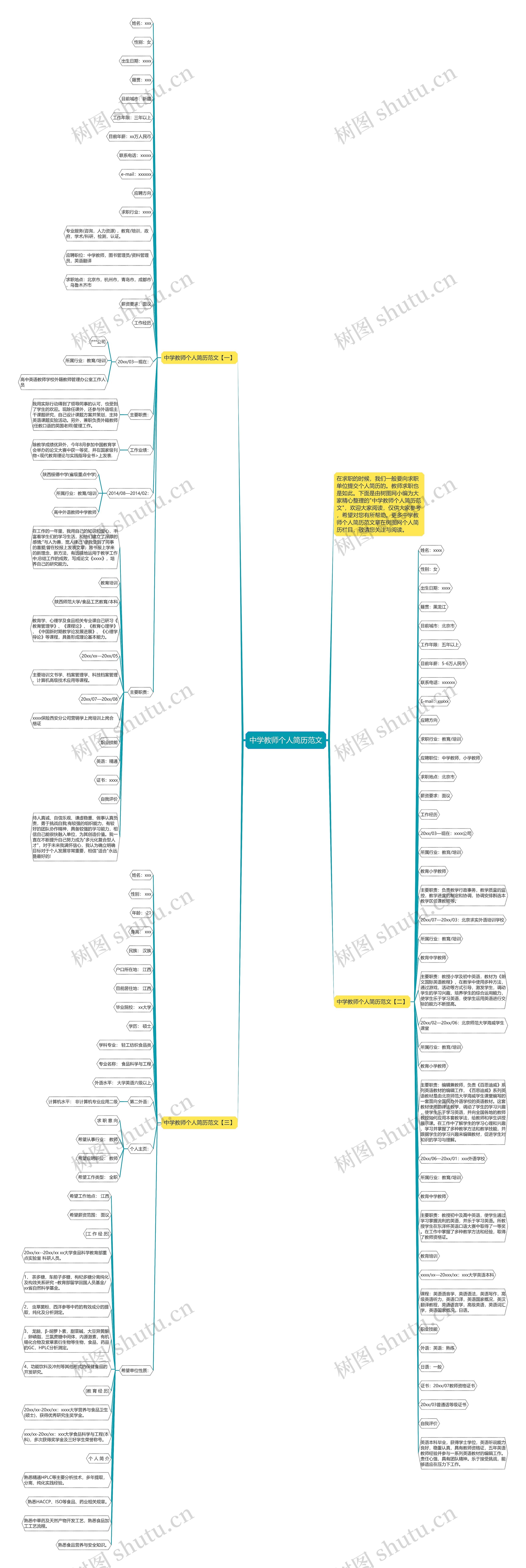 中学教师个人简历范文思维导图