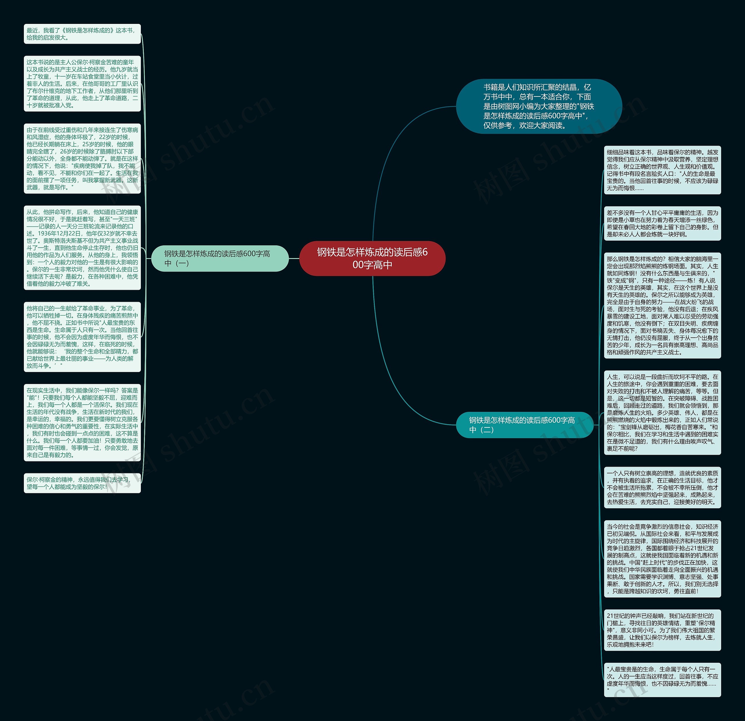 钢铁是怎样炼成的读后感600字高中思维导图