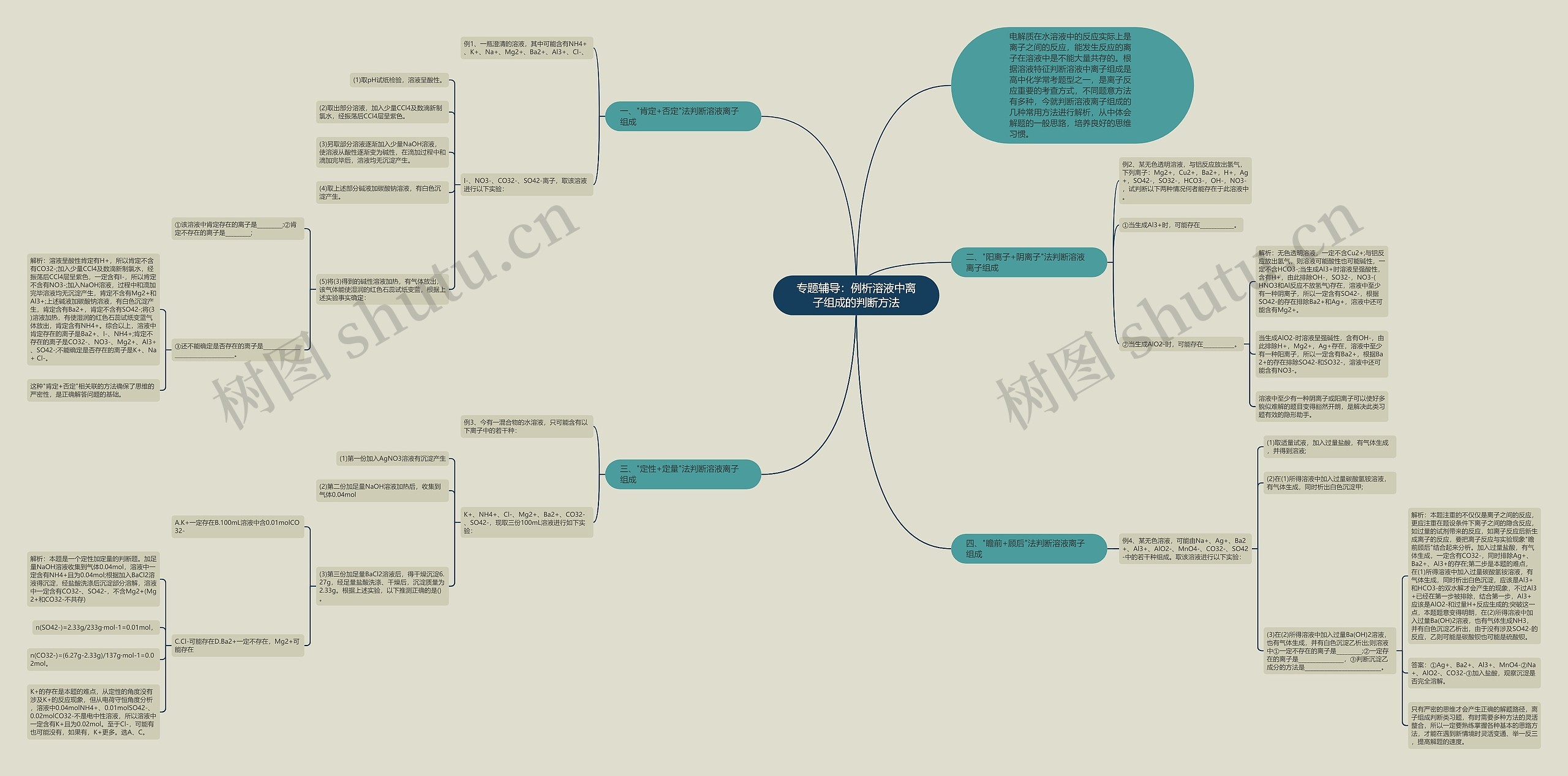 专题辅导：例析溶液中离子组成的判断方法思维导图