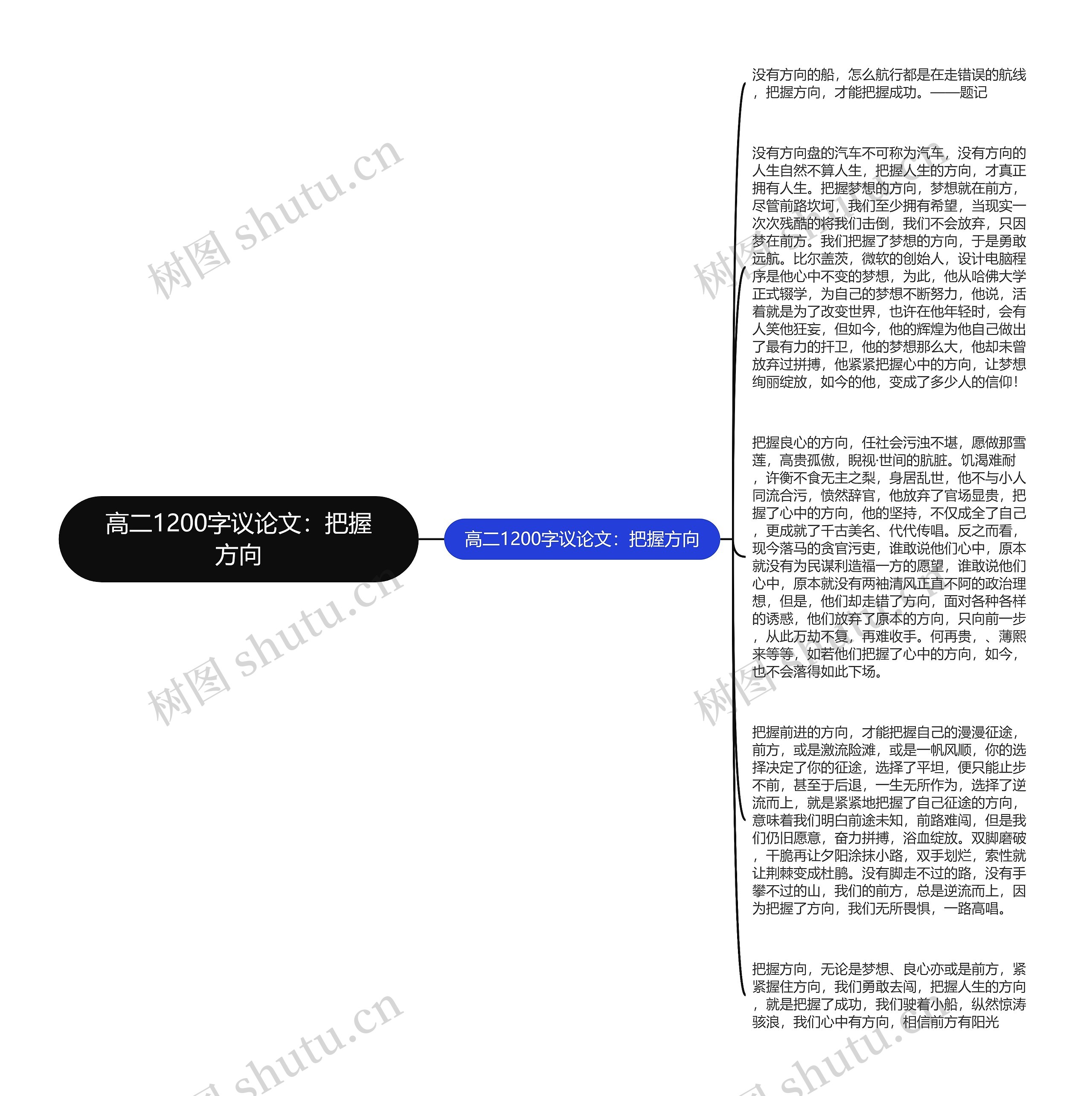 高二1200字议论文：把握方向思维导图