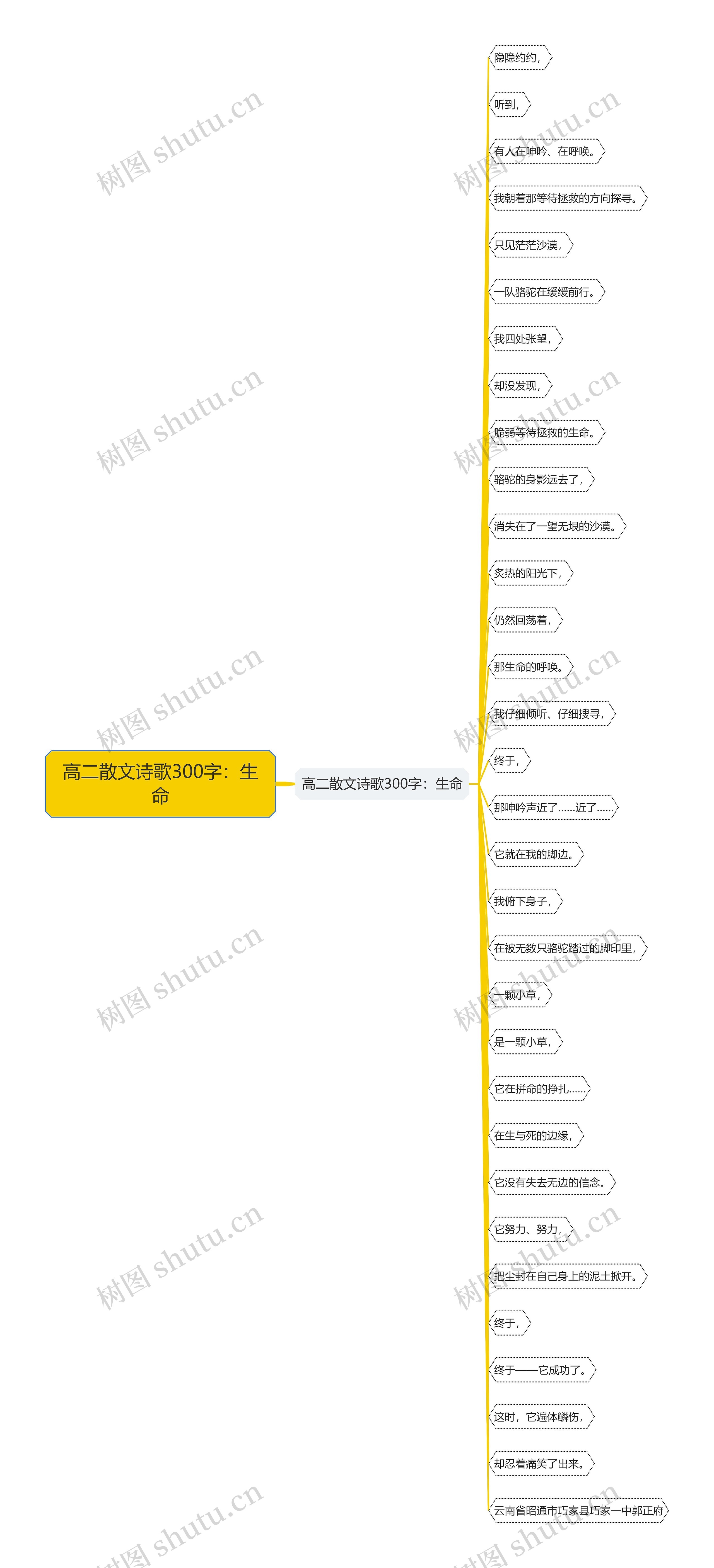 高二散文诗歌300字：生命思维导图