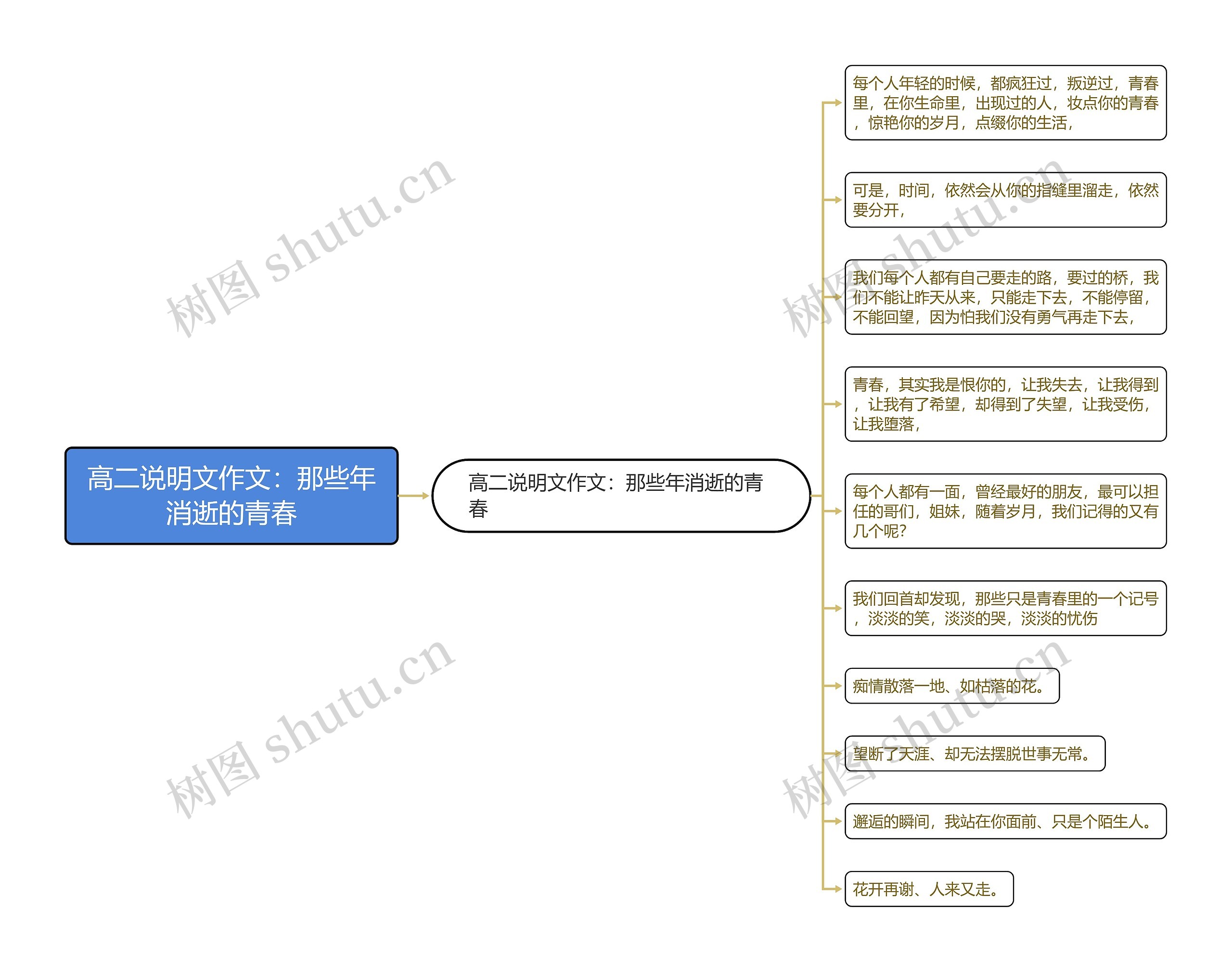 高二说明文作文：那些年消逝的青春