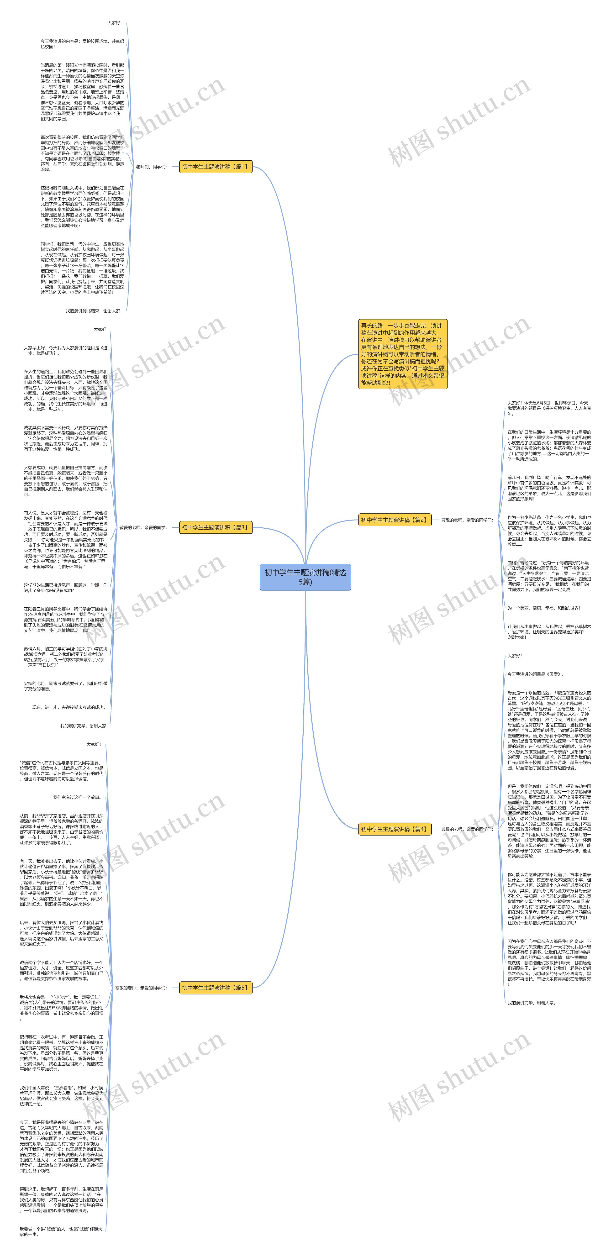 初中学生主题演讲稿(精选5篇)思维导图