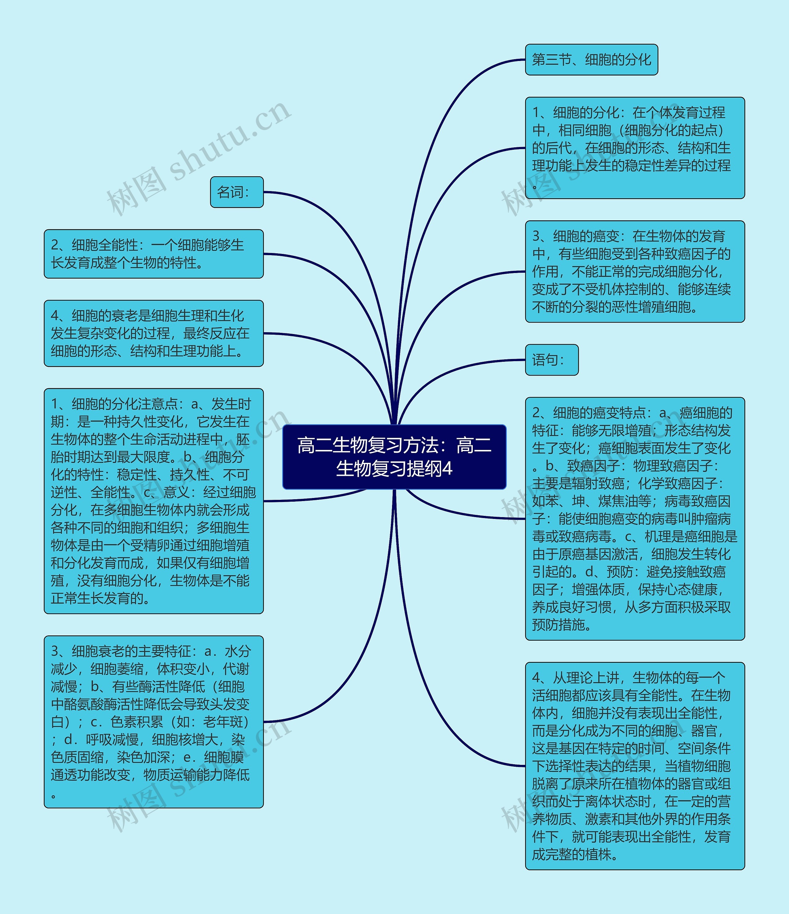 高二生物复习方法：高二生物复习提纲4思维导图