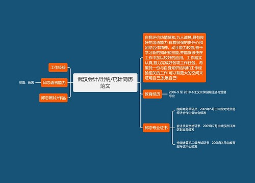 武汉会计/出纳/统计简历范文