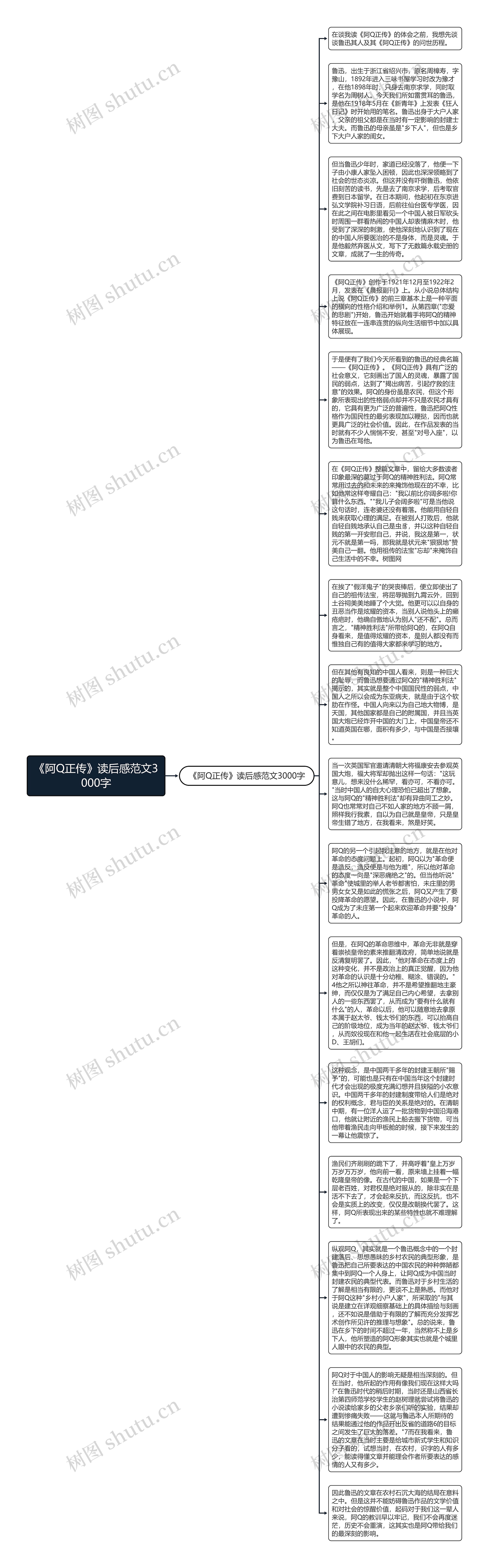 《阿Q正传》读后感范文3000字