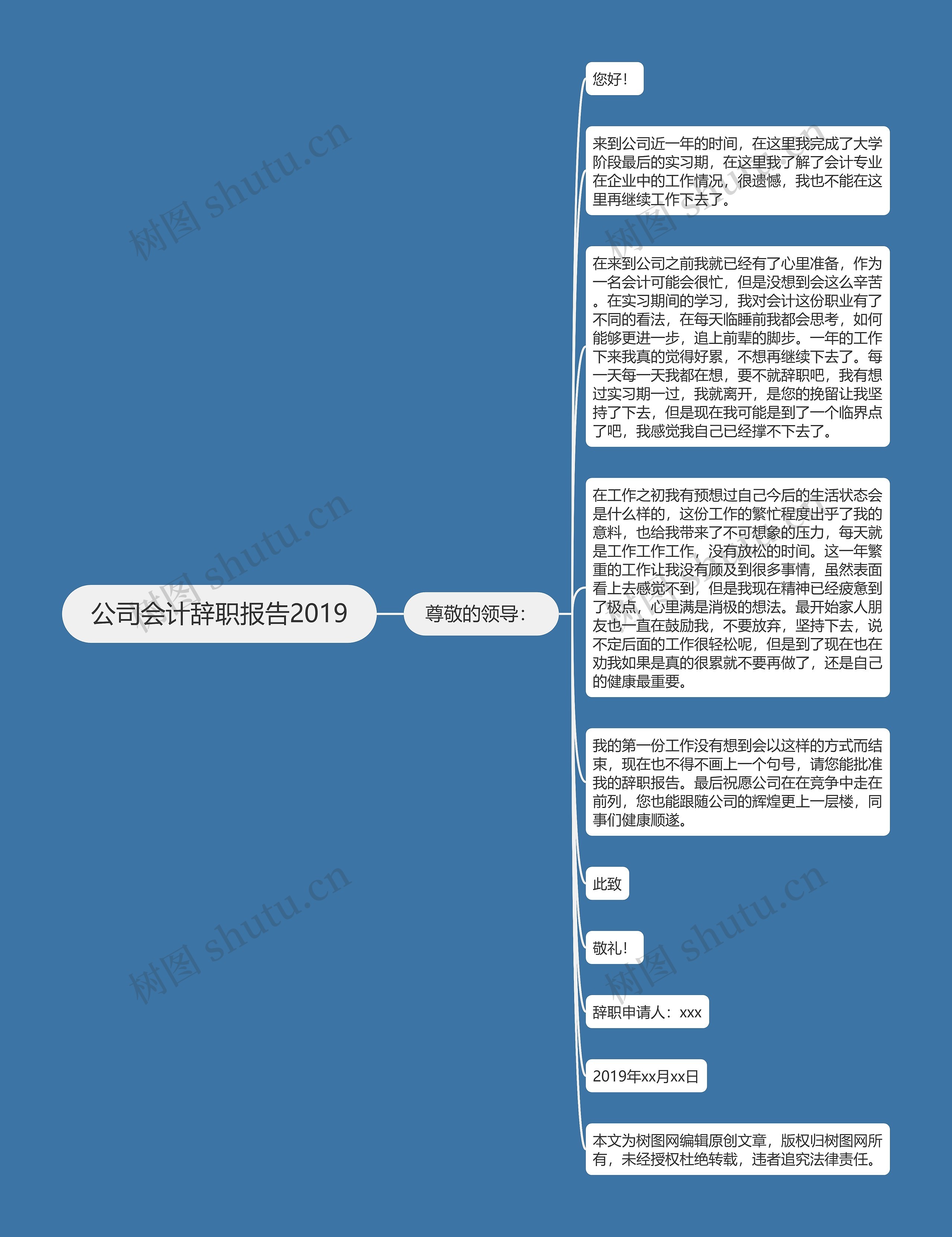 公司会计辞职报告2019思维导图