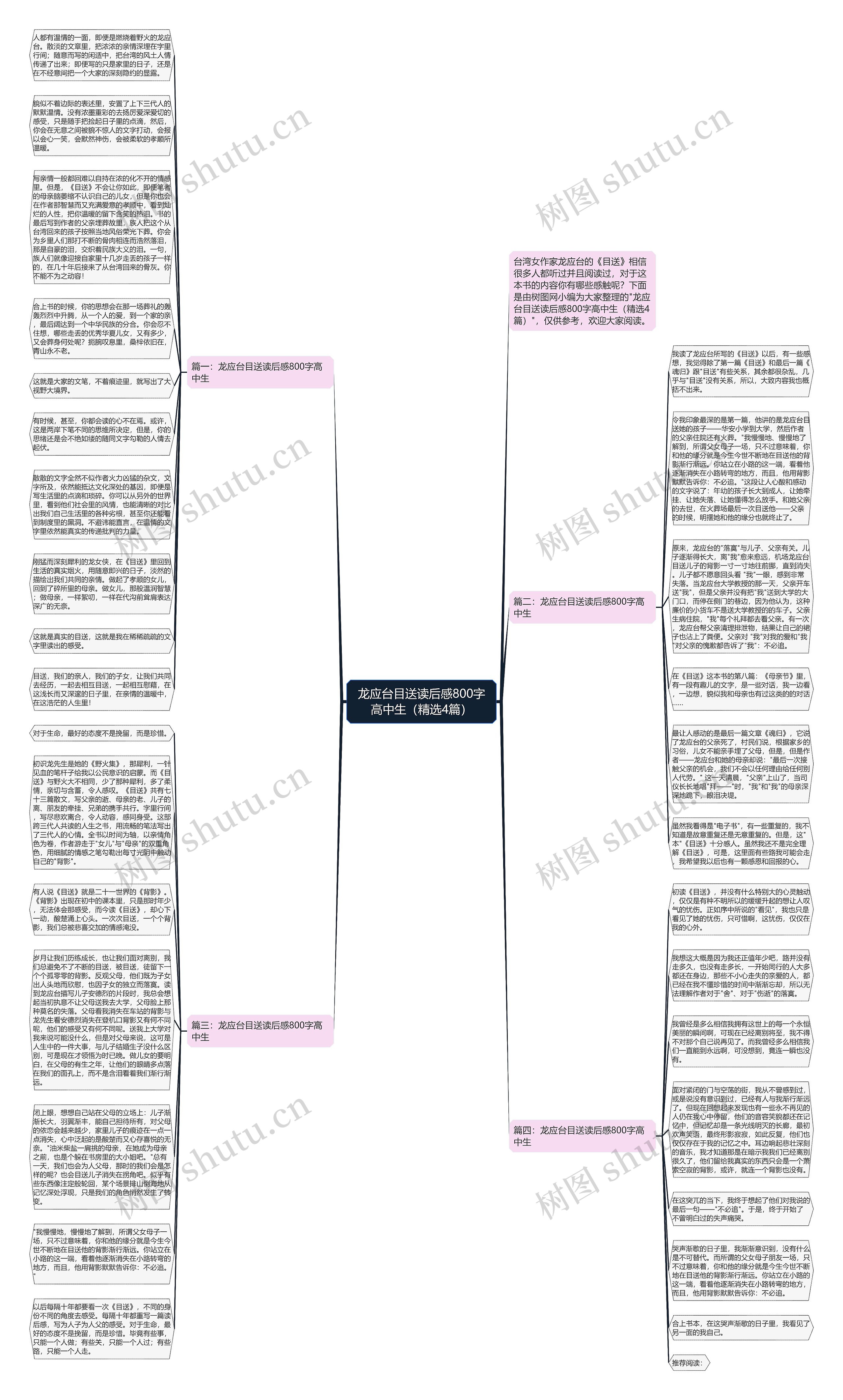 龙应台目送读后感800字高中生（精选4篇）思维导图