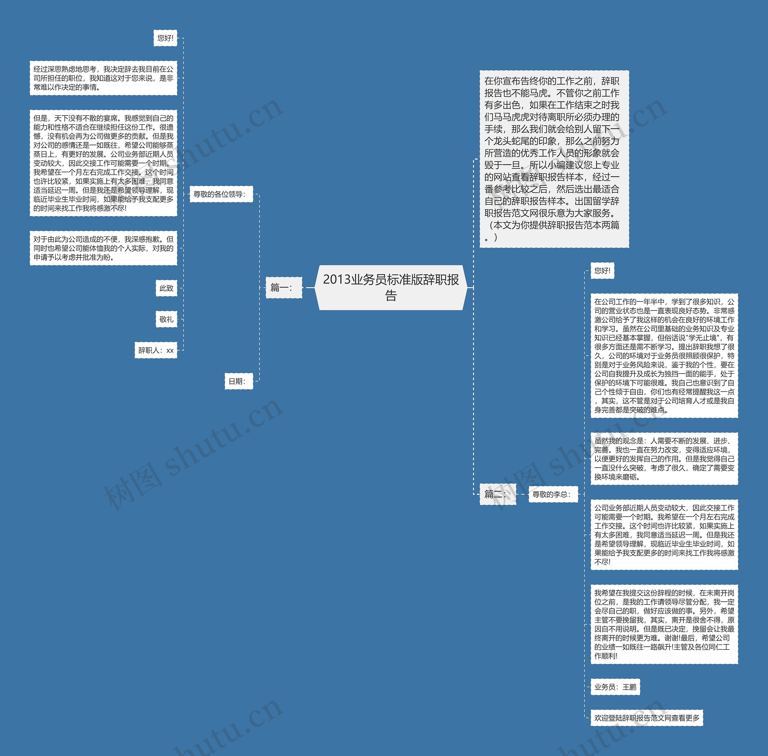 2013业务员标准版辞职报告思维导图