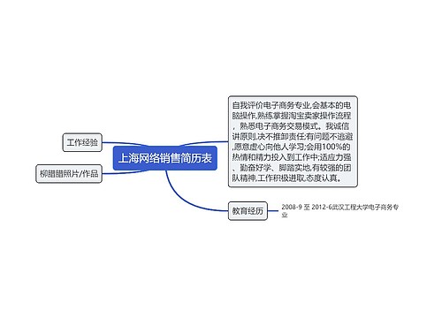 上海网络销售简历表