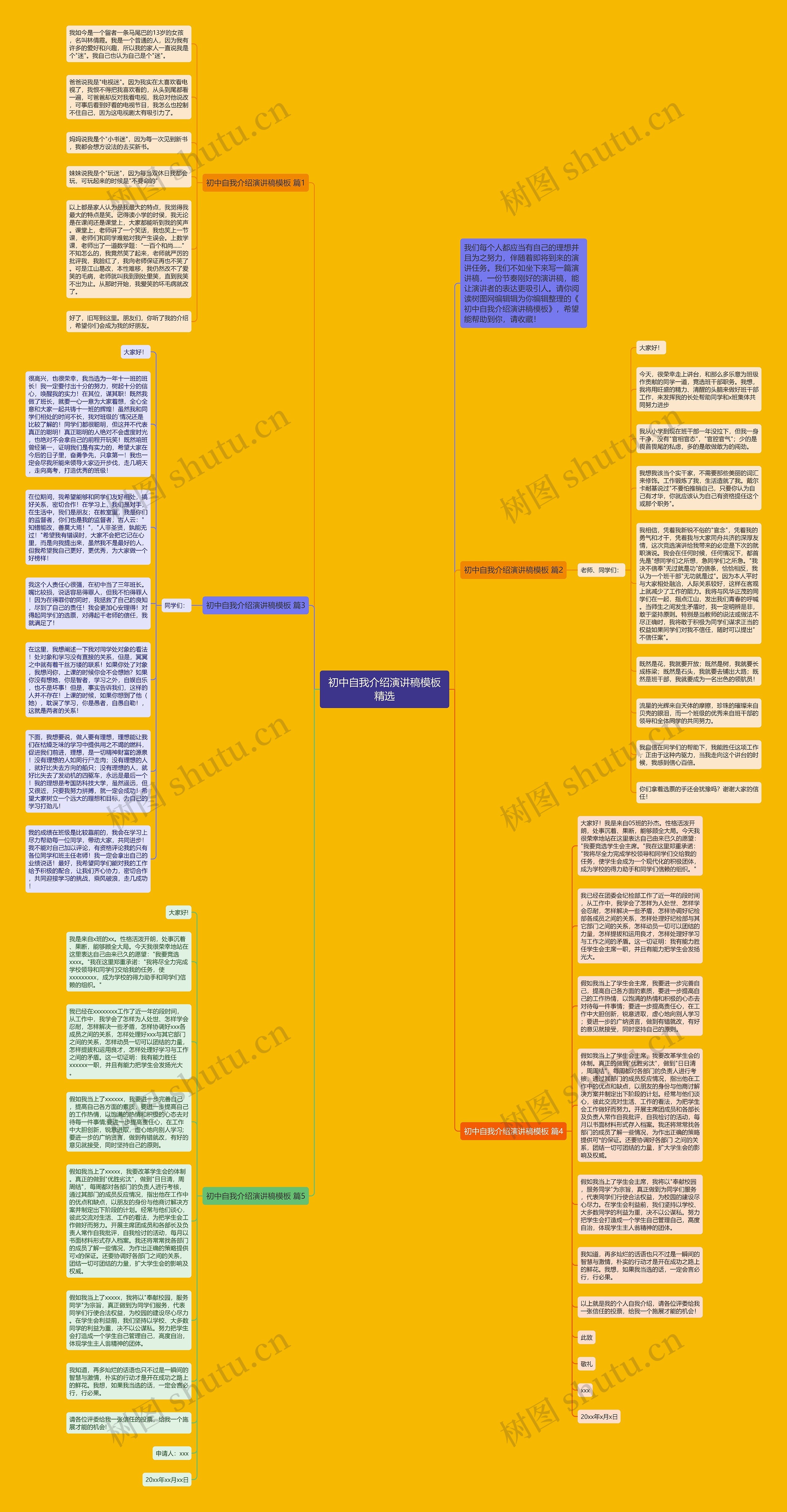 初中自我介绍演讲稿精选思维导图