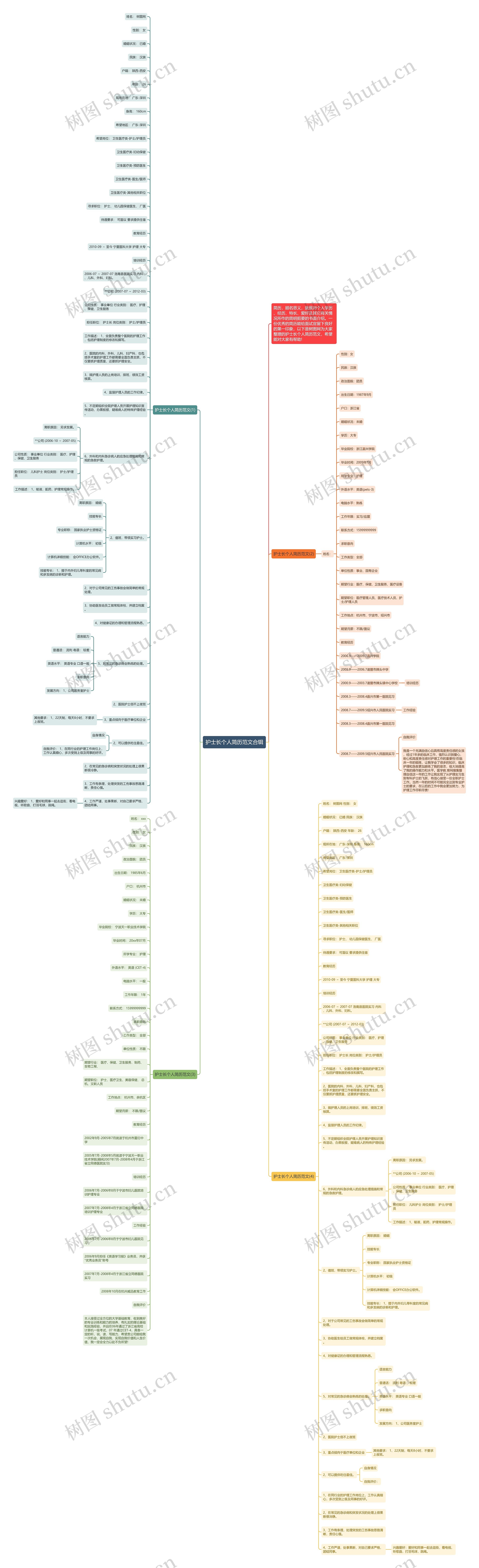 护士长个人简历范文合辑思维导图