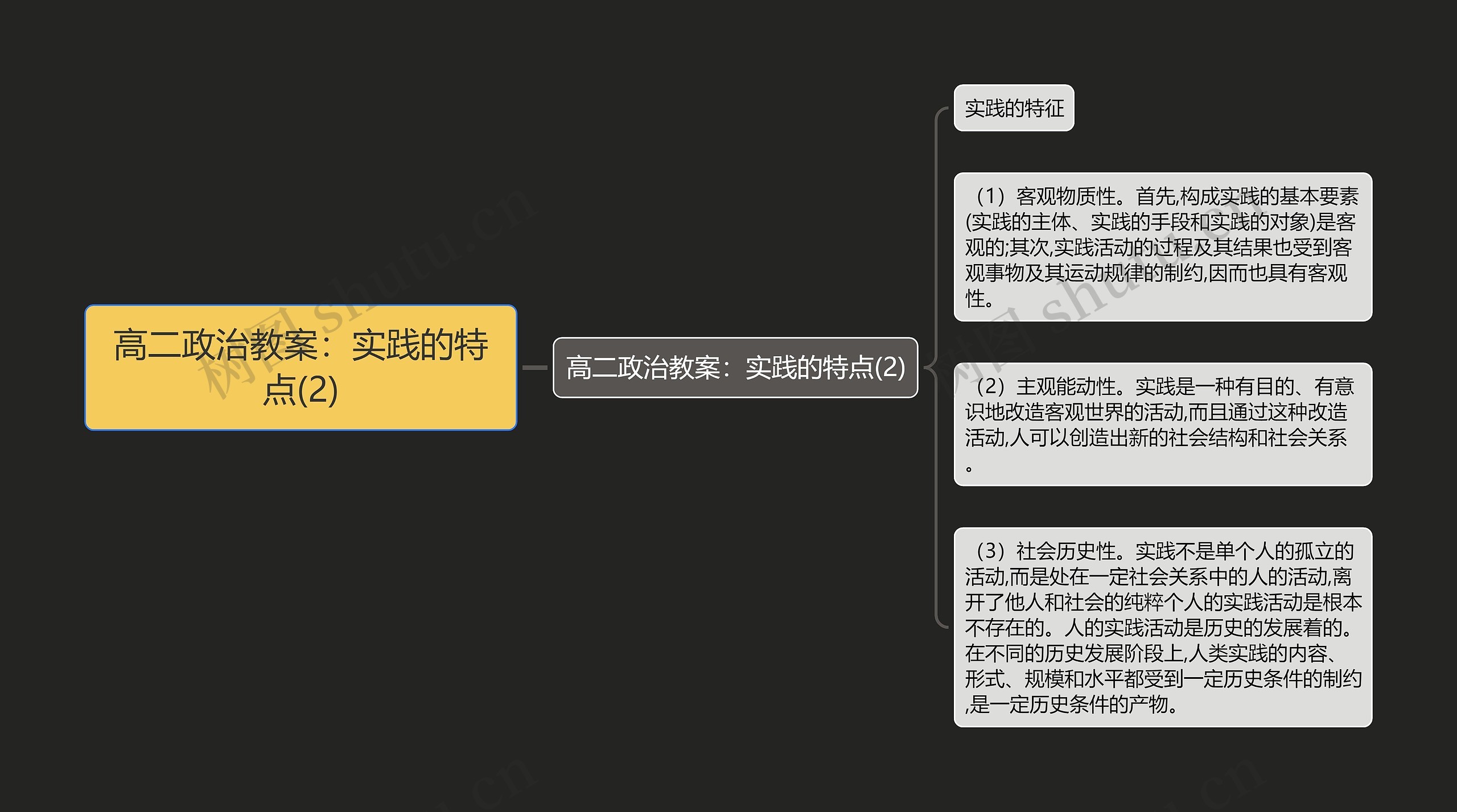 高二政治教案：实践的特点(2)思维导图