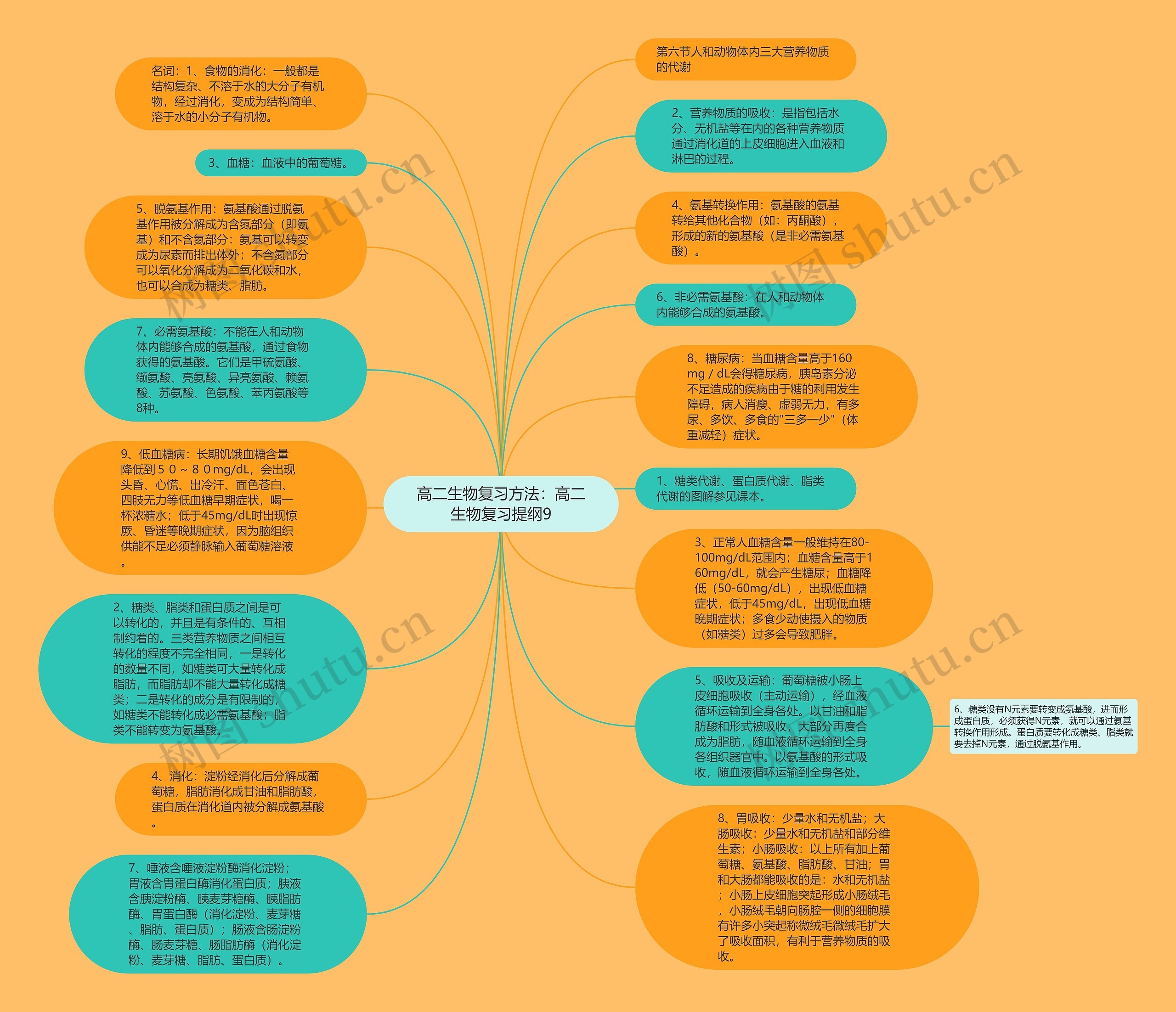 高二生物复习方法：高二生物复习提纲9思维导图