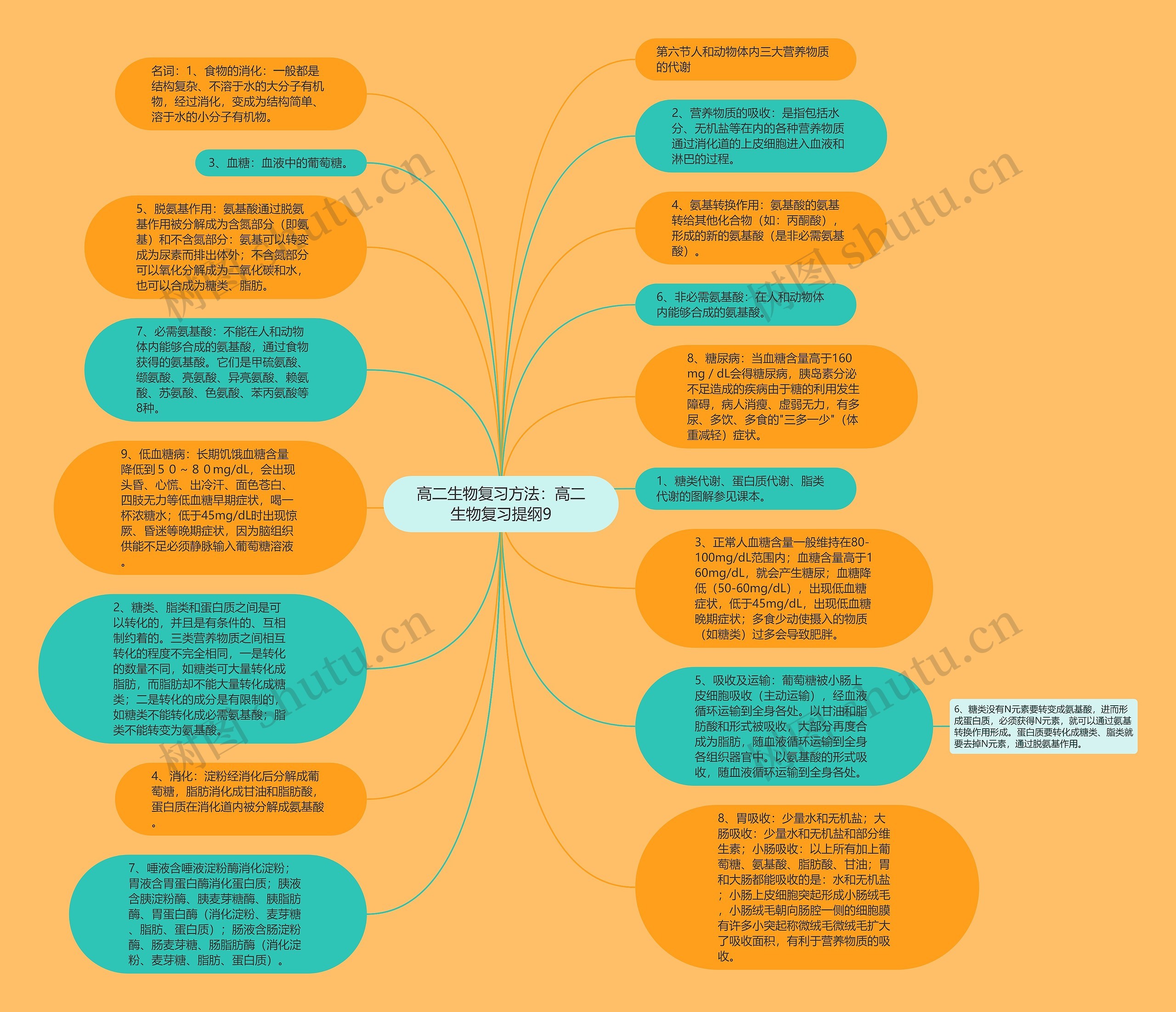 高二生物复习方法:高二生物复习提纲9思维导图高清图 高二生物复习方法:高二生物复习提纲9思维导图