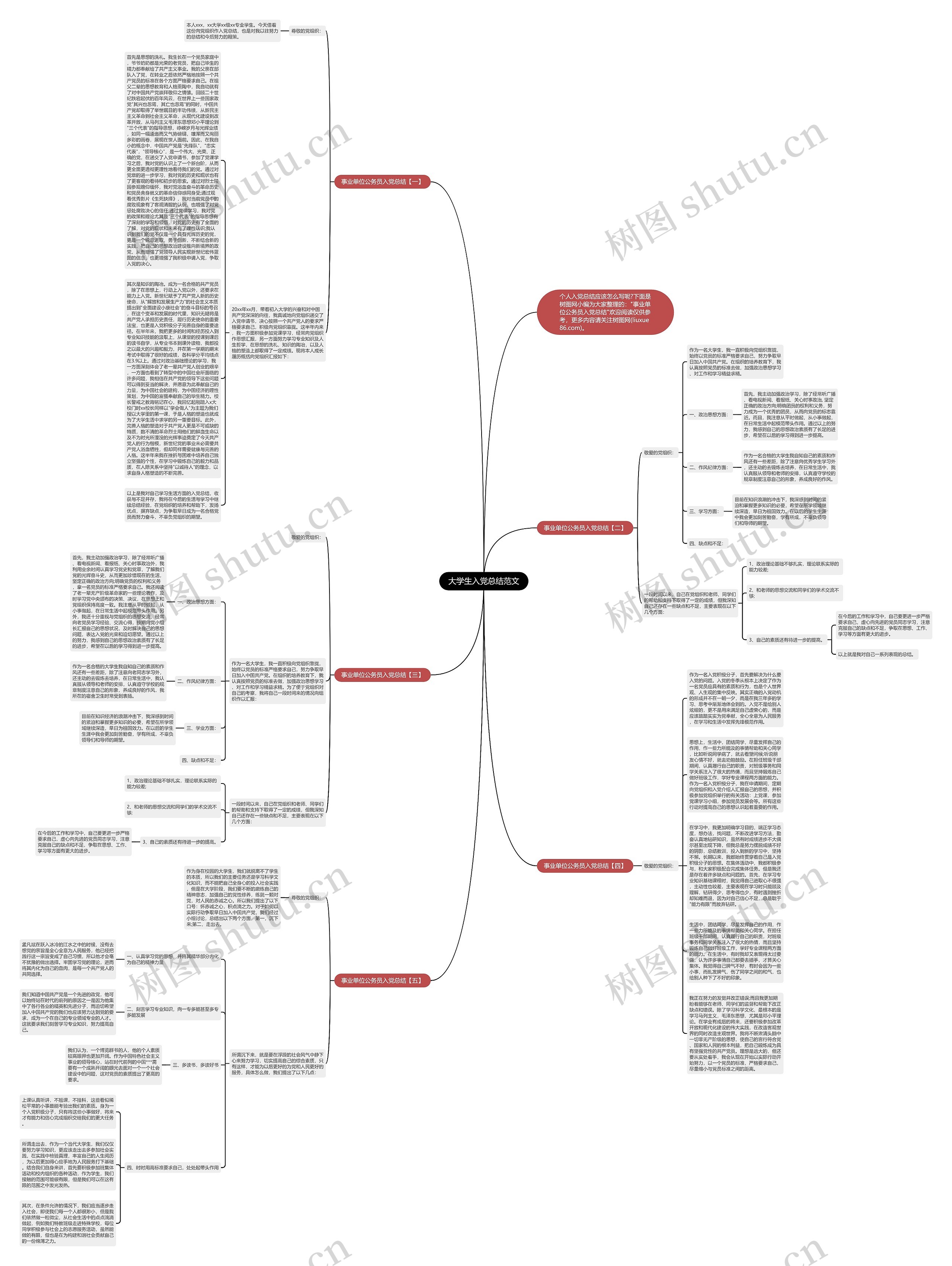 大学生入党总结范文思维导图