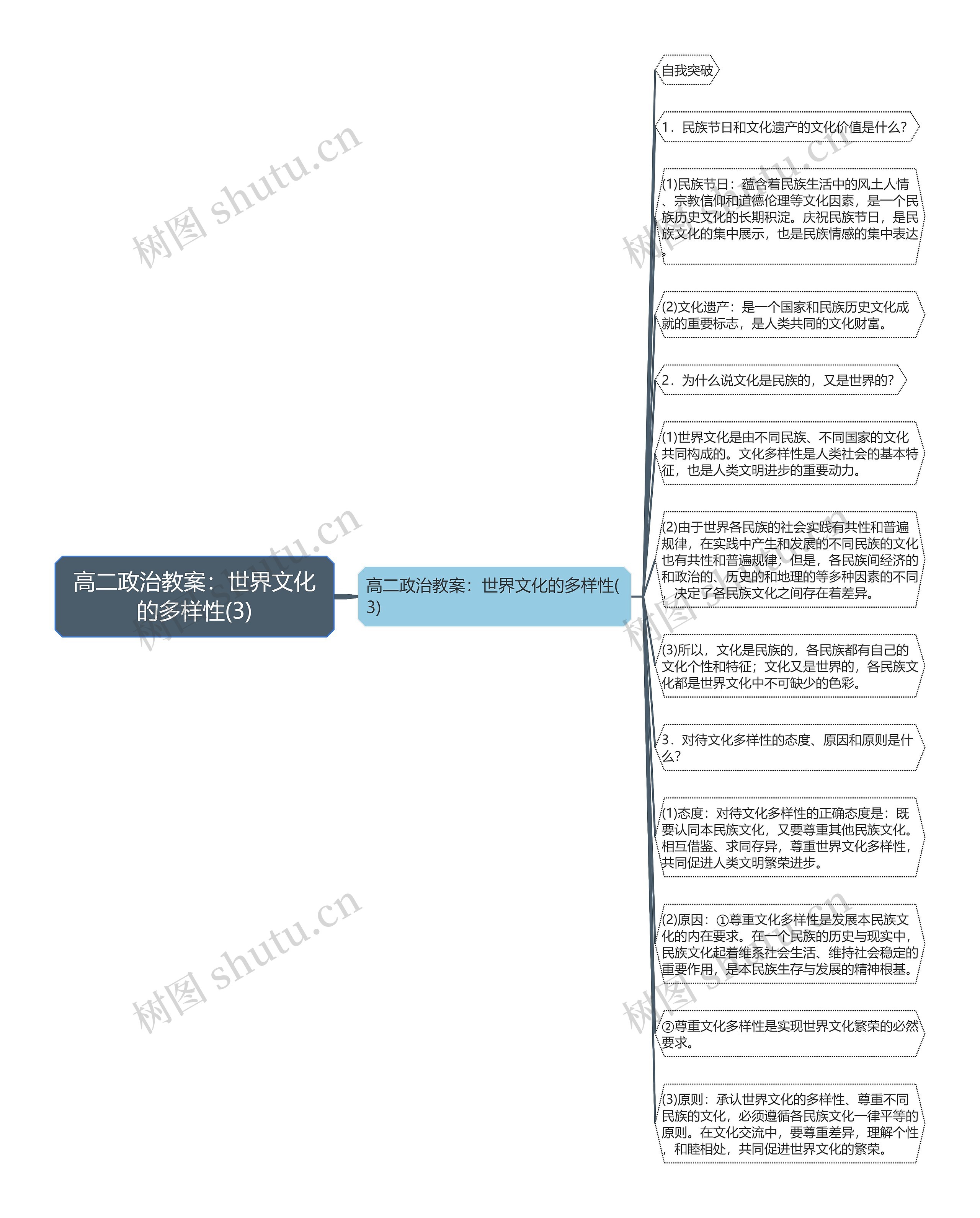 高二政治教案：世界文化的多样性(3)思维导图