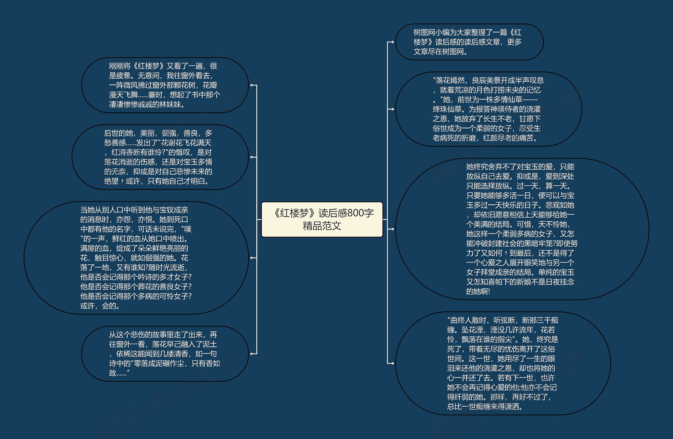 《红楼梦》读后感800字精品范文思维导图