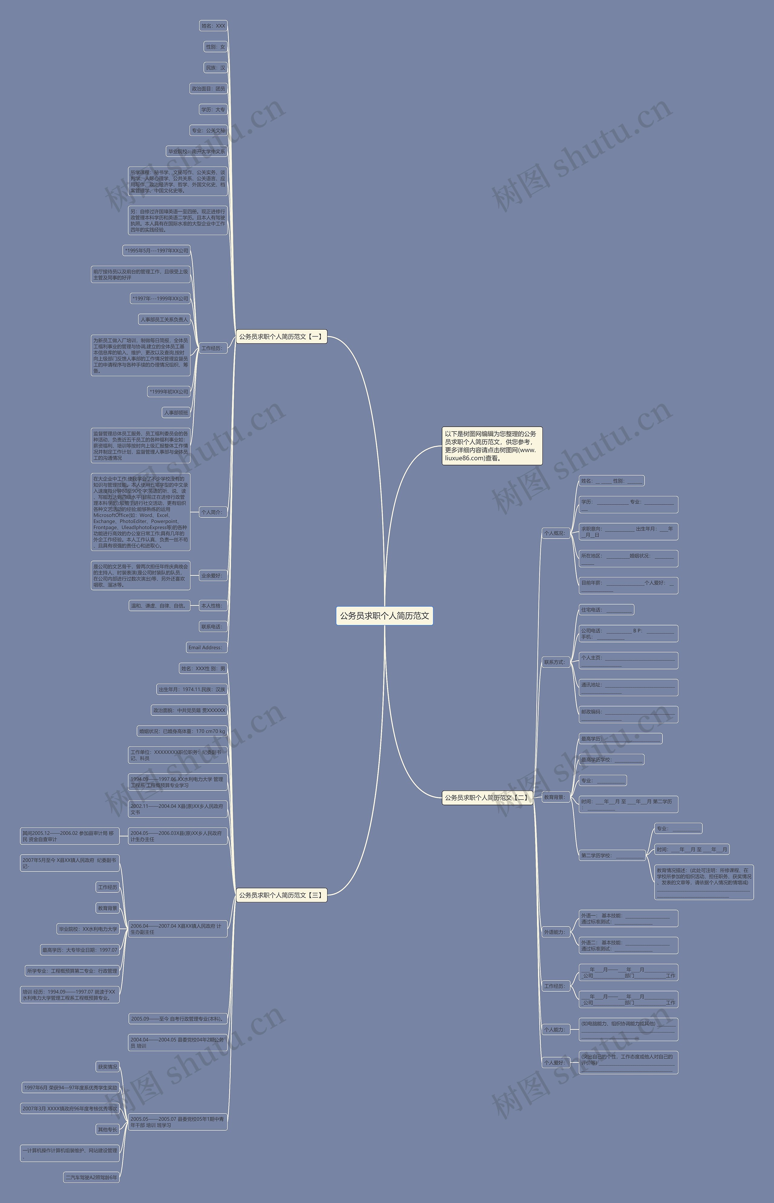 公务员求职个人简历范文思维导图
