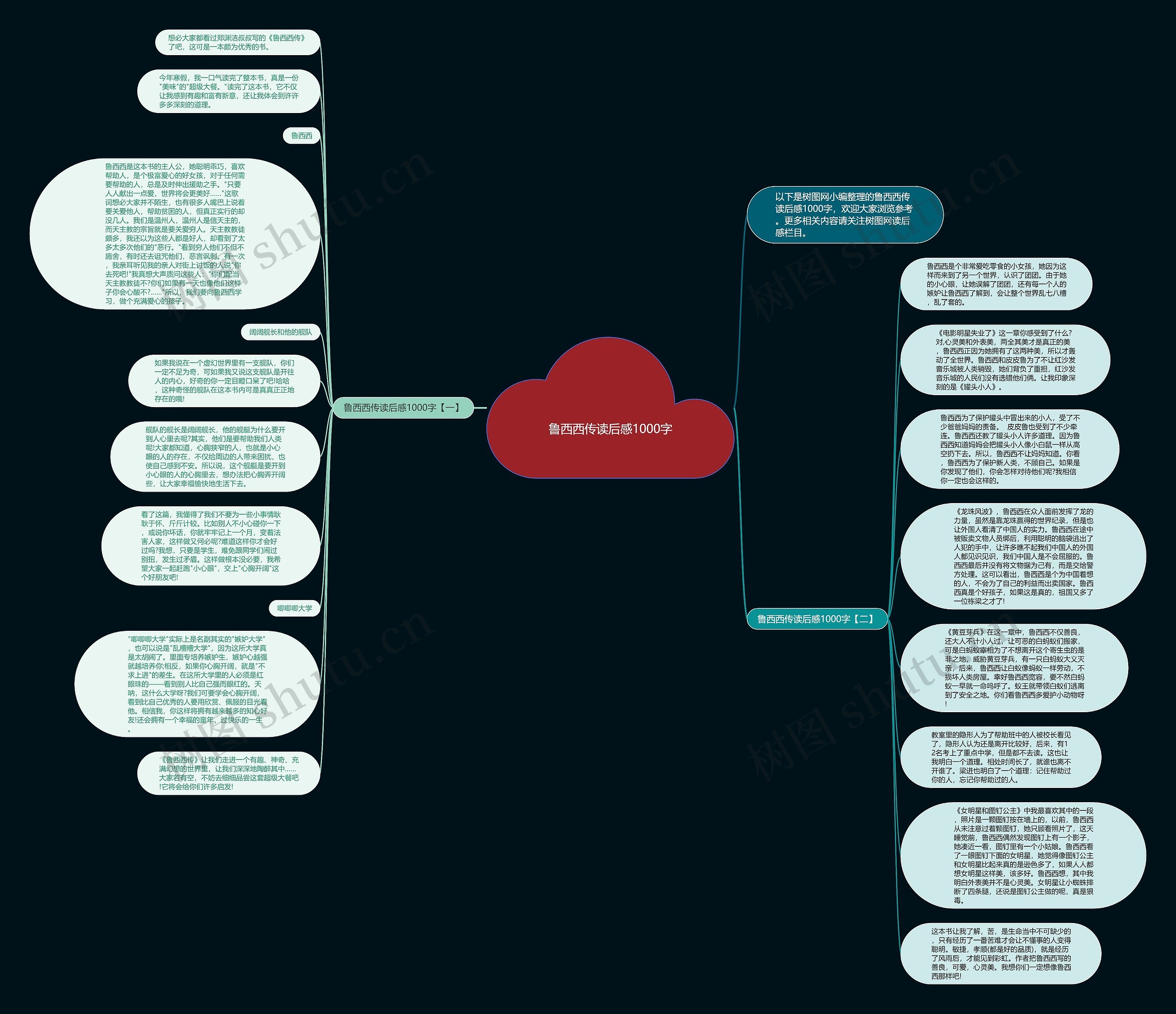 鲁西西传读后感1000字思维导图