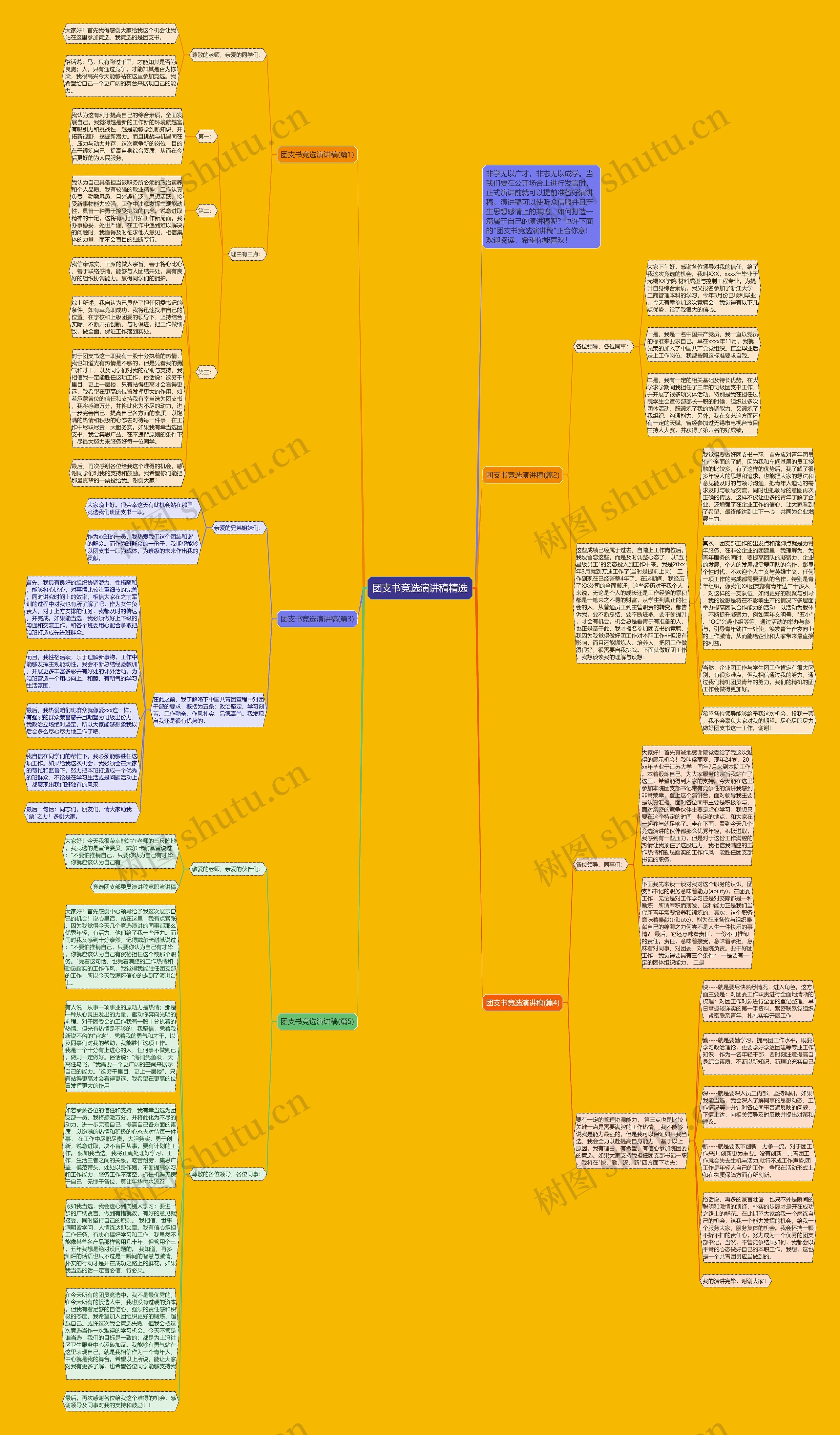 团支书竞选演讲稿精选思维导图