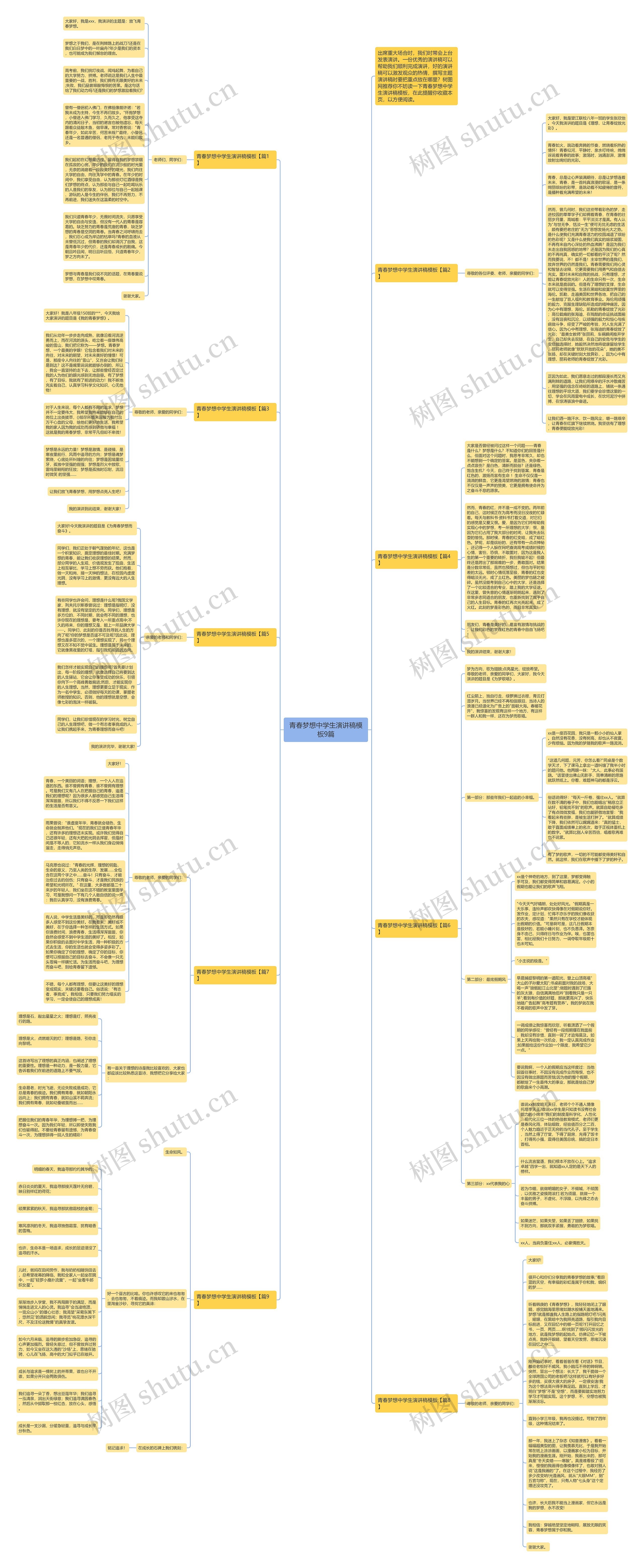 青春梦想中学生演讲稿9篇思维导图