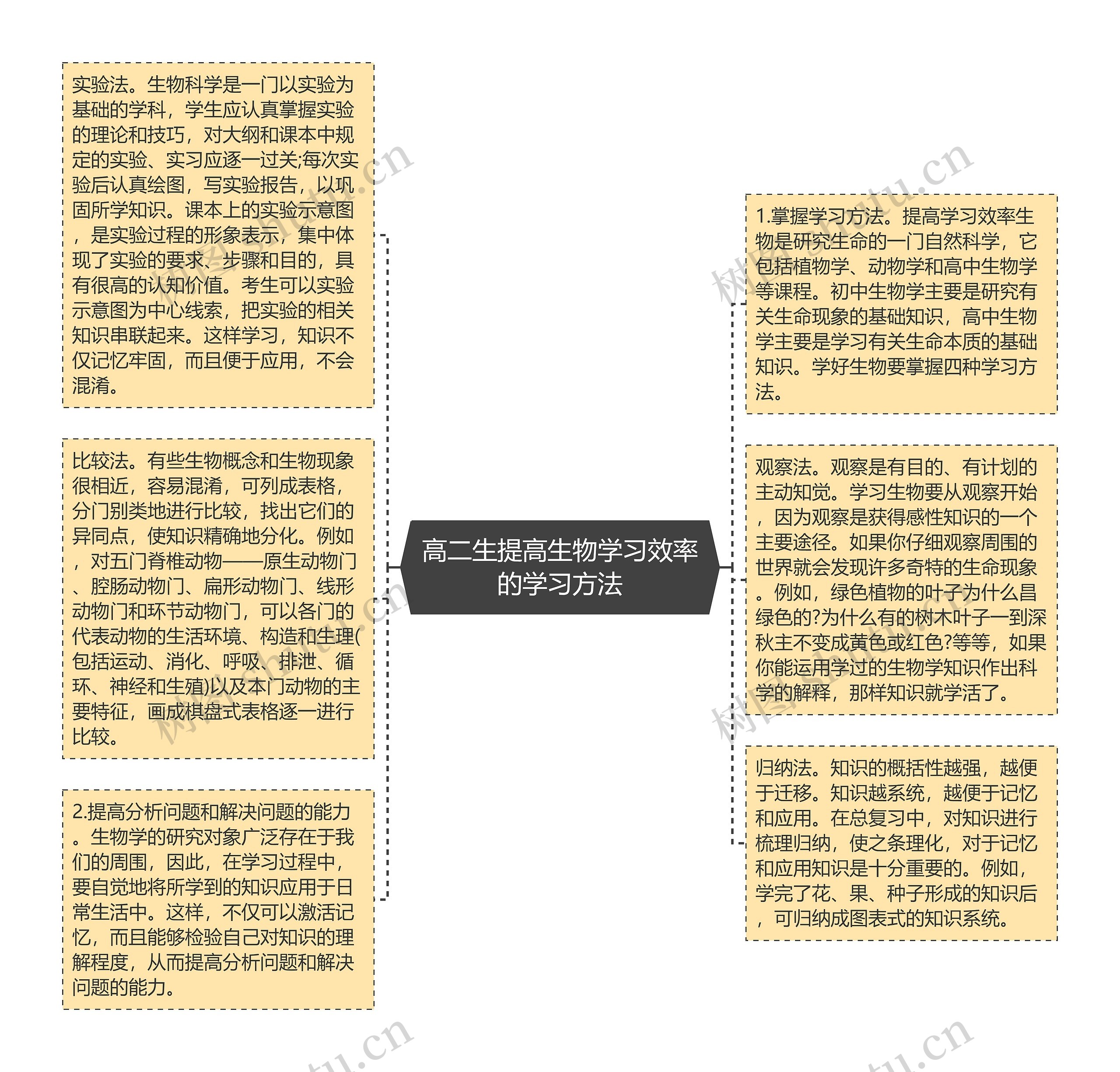 高二生提高生物学习效率的学习方法思维导图