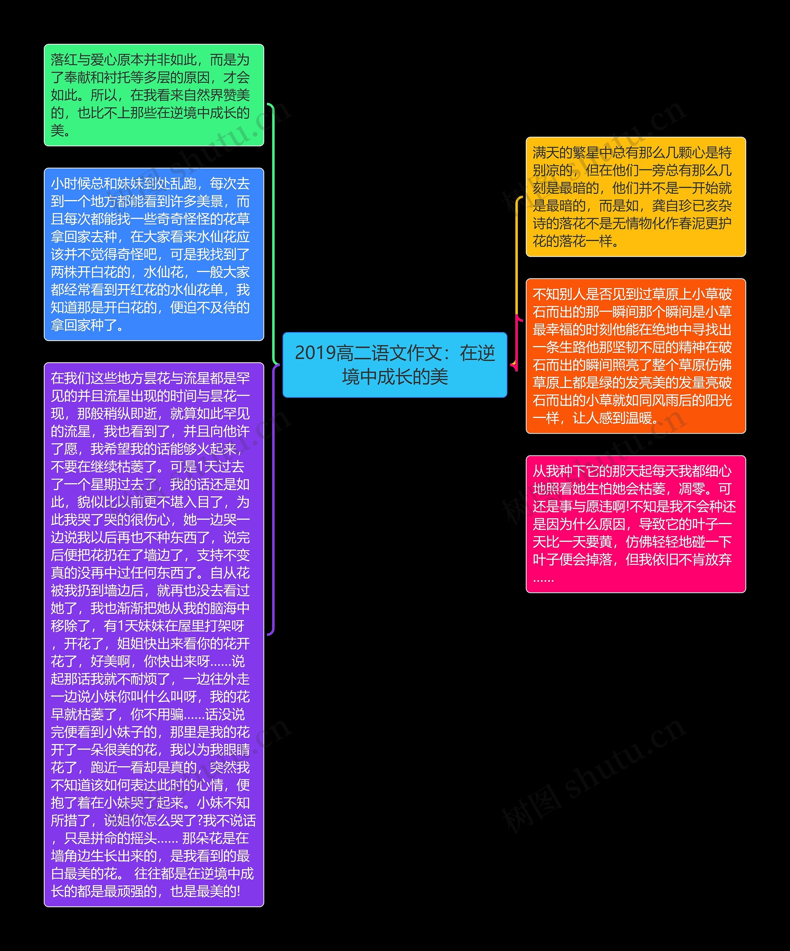 2019高二语文作文：在逆境中成长的美思维导图