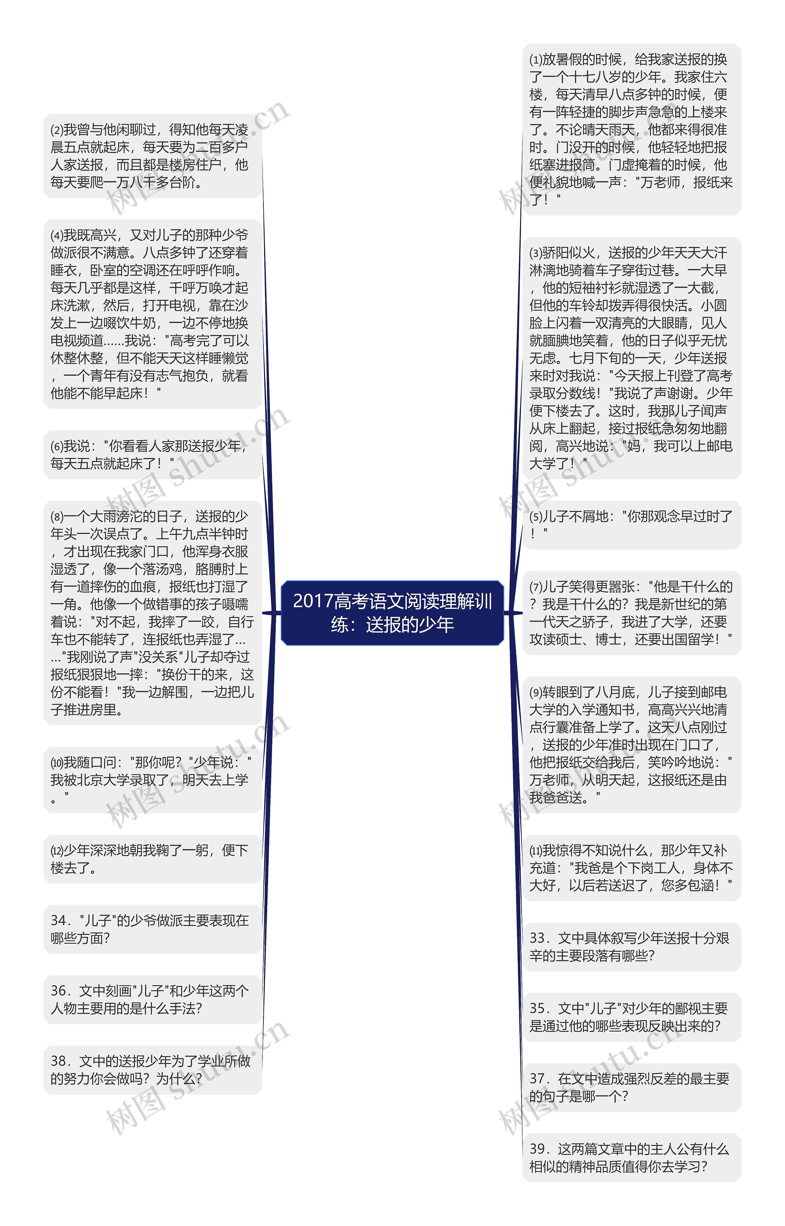 2017高考语文阅读理解训练：送报的少年思维导图