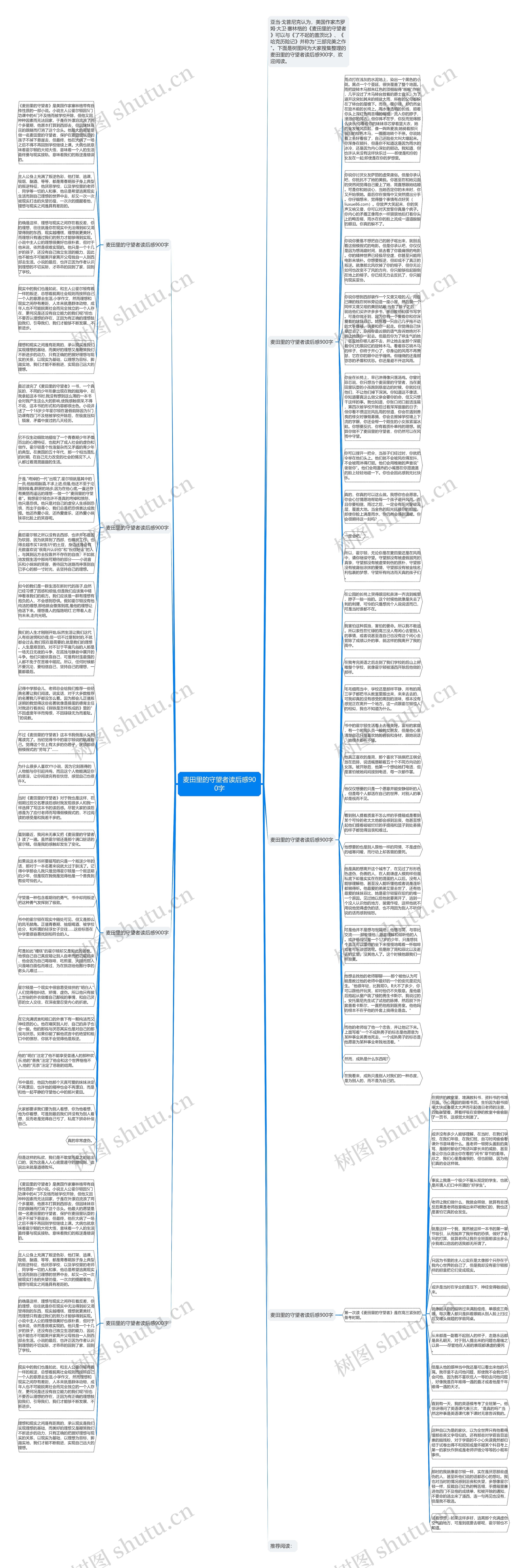 麦田里的守望者读后感900字思维导图