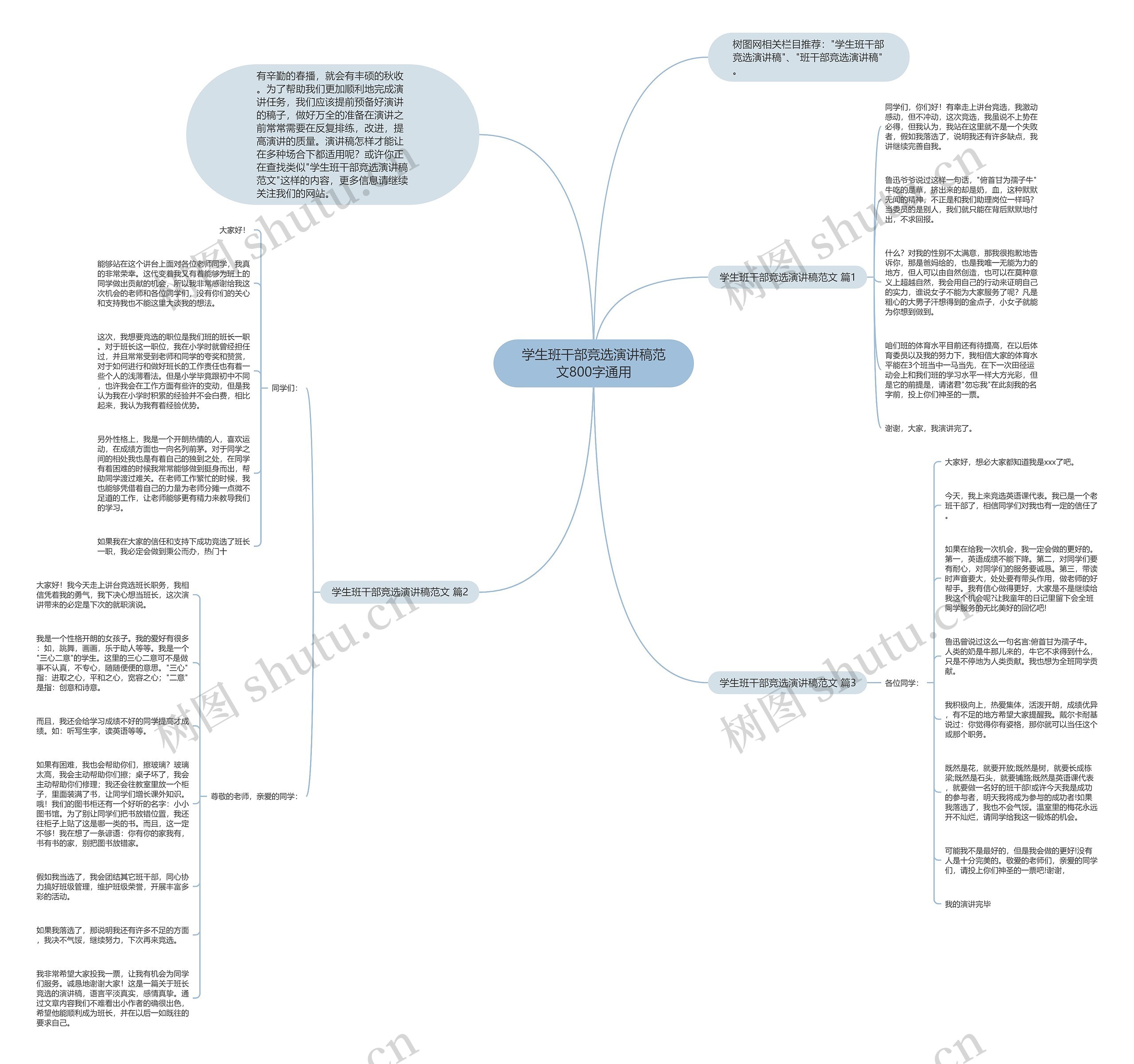 学生班干部竞选演讲稿范文800字通用思维导图