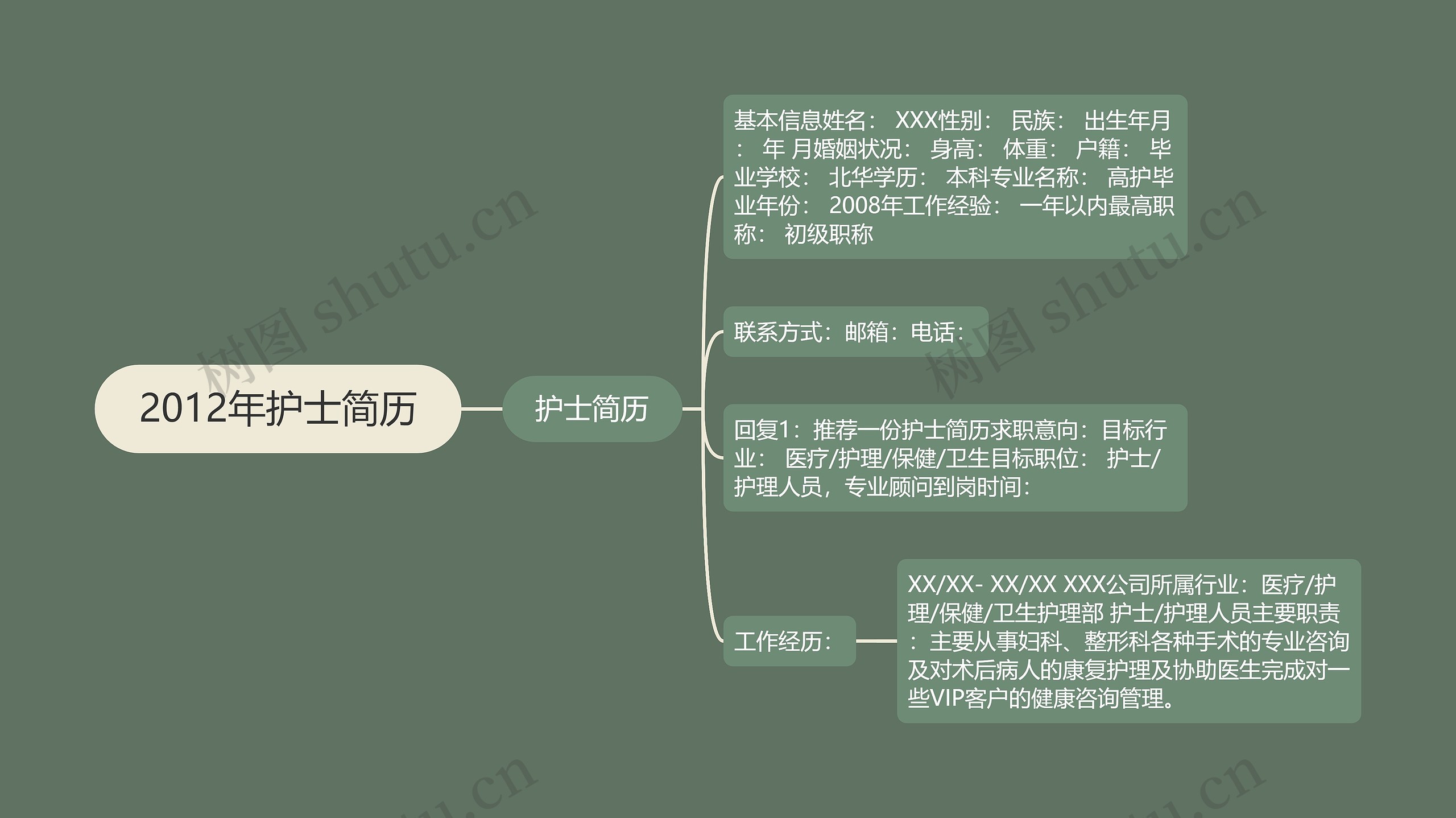 2012年护士简历思维导图