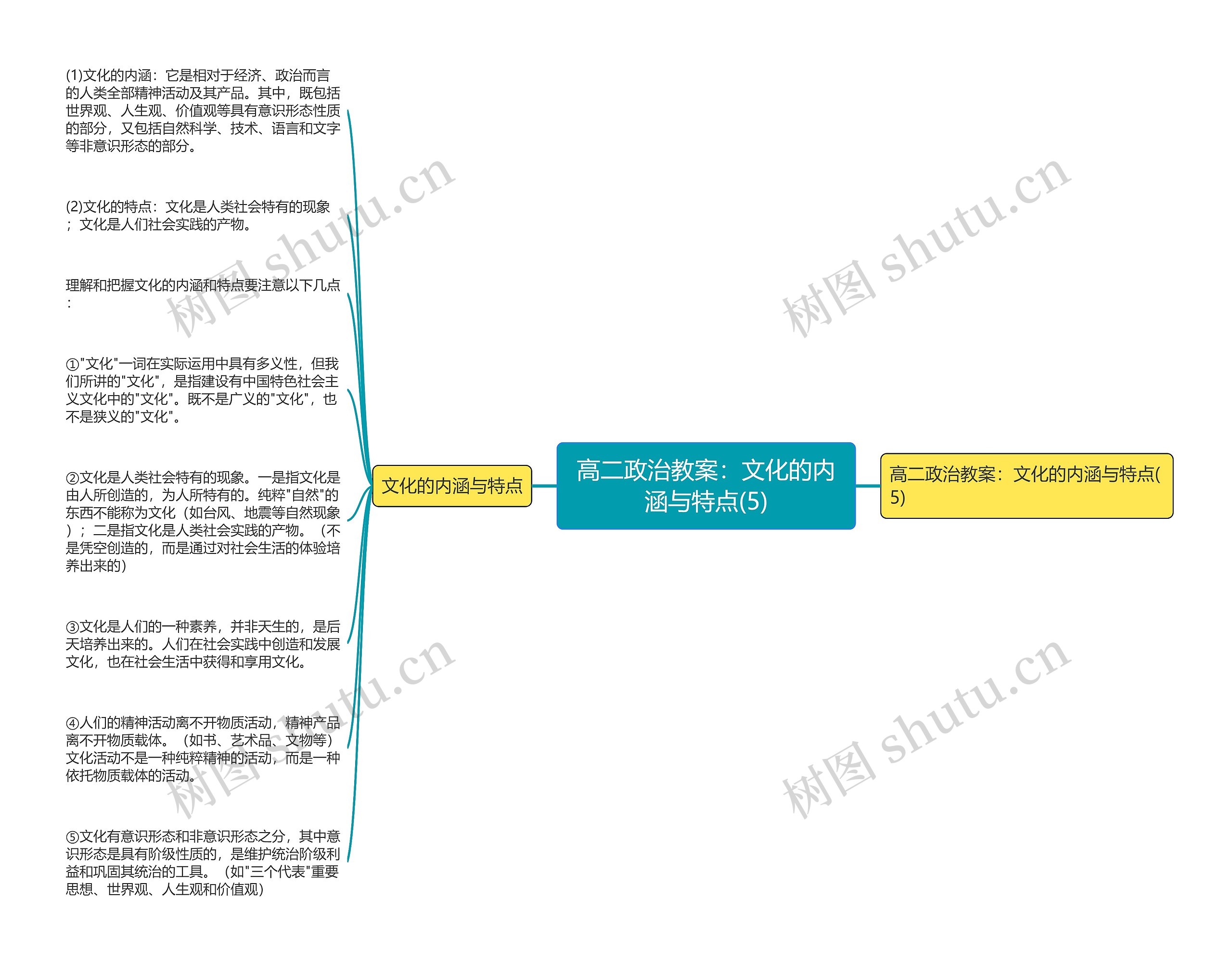 高二政治教案：文化的内涵与特点(5)思维导图