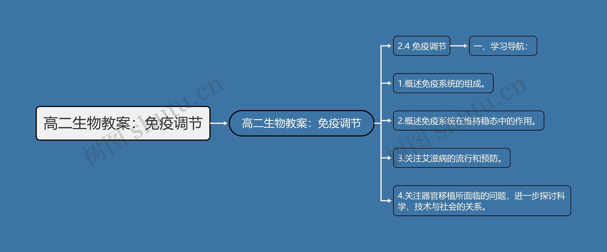 高二生物教案:免疫调节思维导图