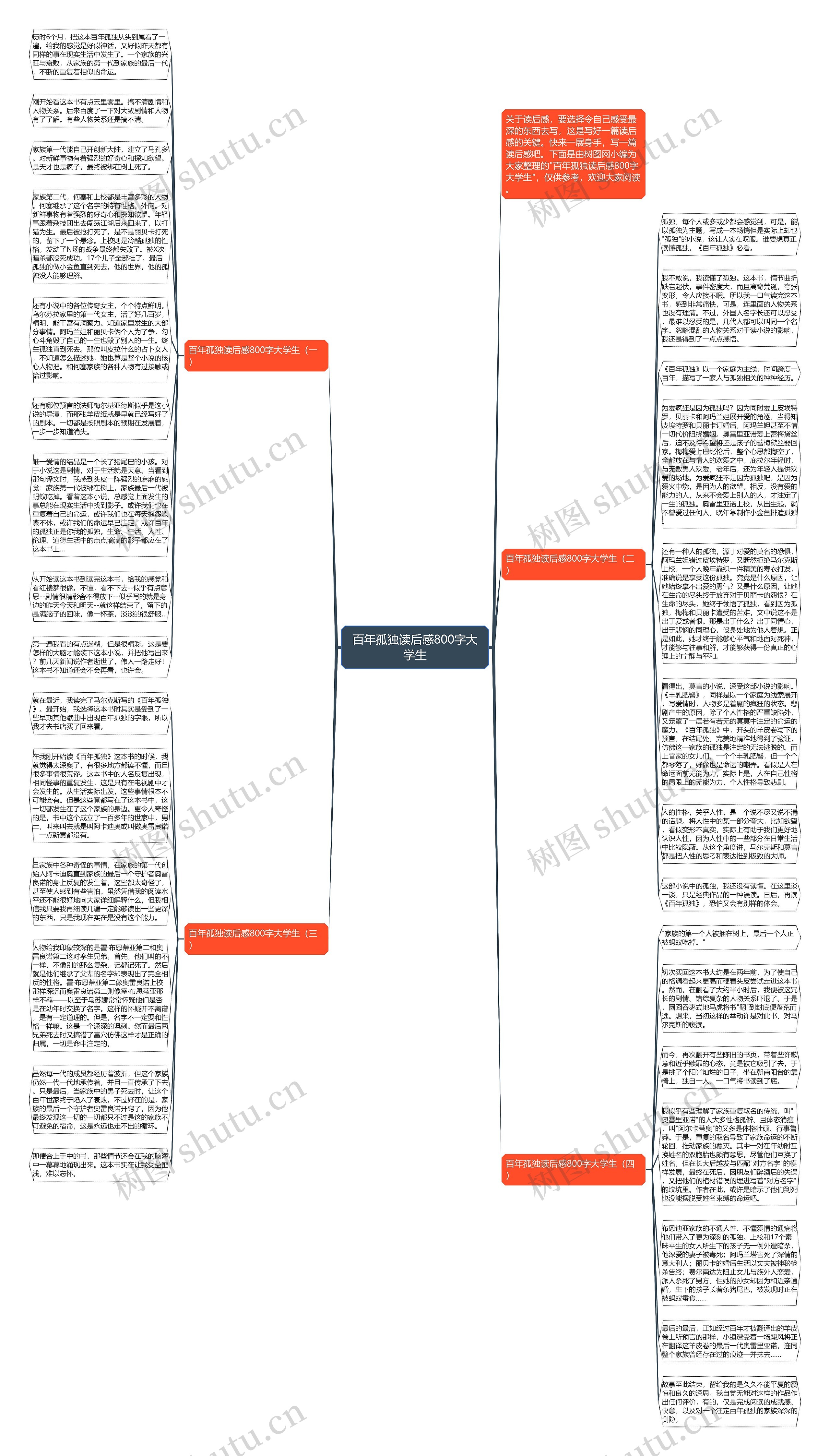 百年孤独读后感800字大学生思维导图