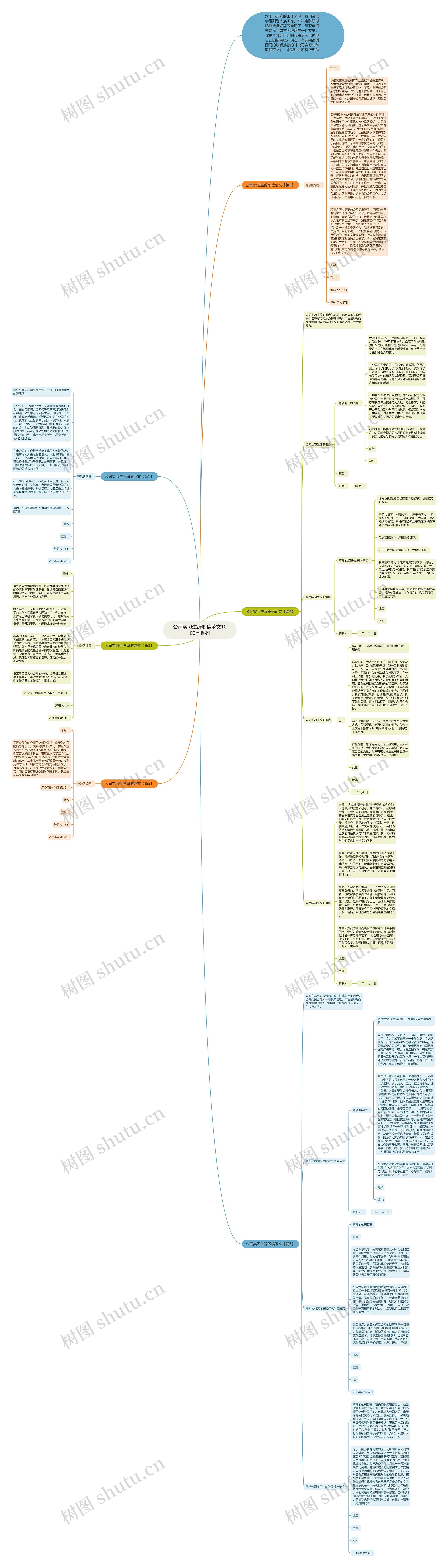 公司实习生辞职信范文1000字系列思维导图
