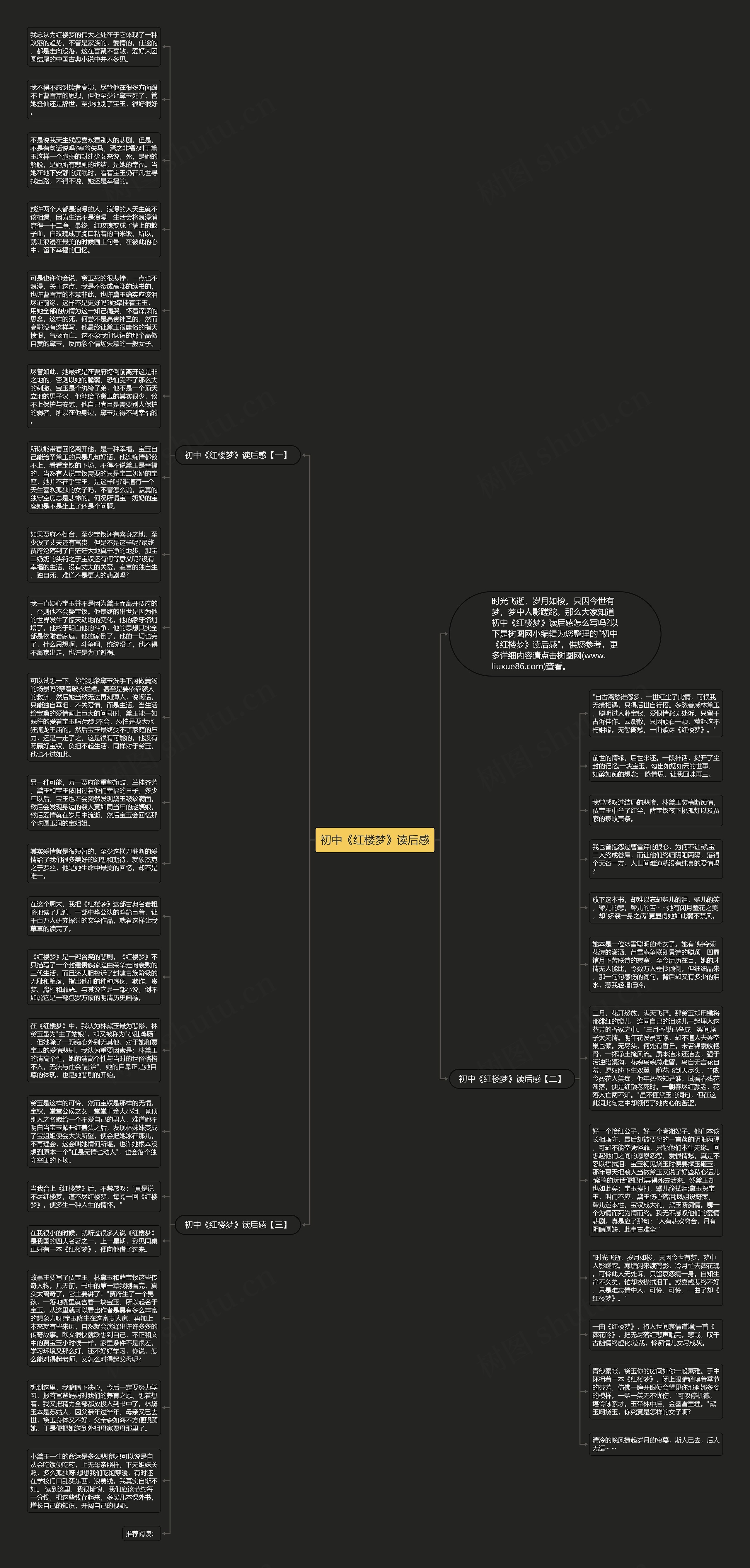 初中《红楼梦》读后感思维导图