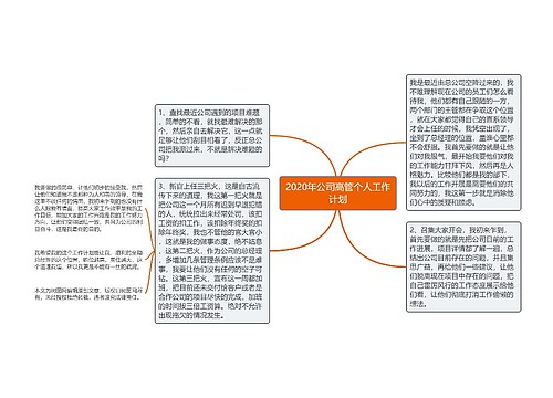 2020年公司高管个人工作计划