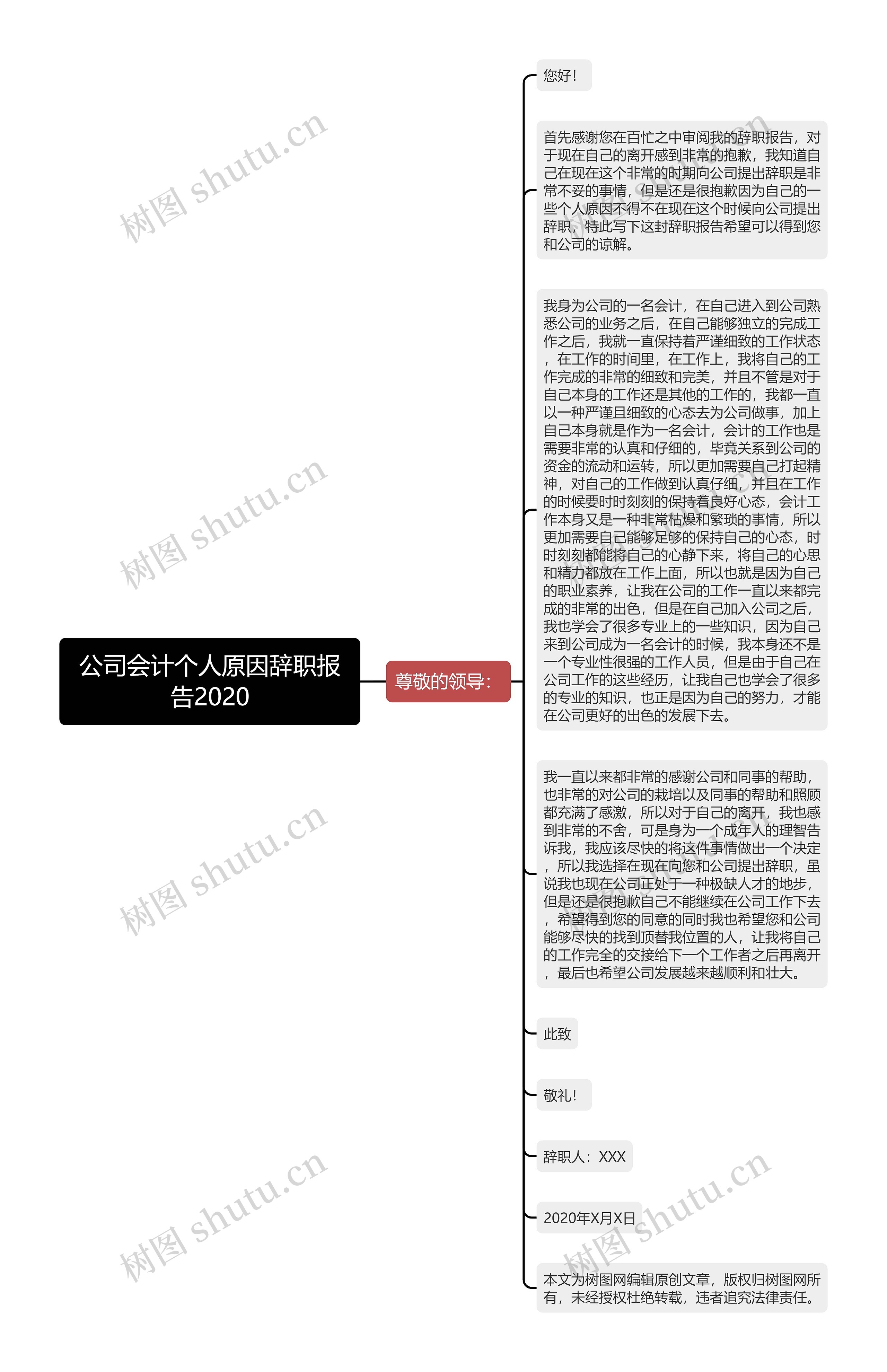 公司会计个人原因辞职报告2020