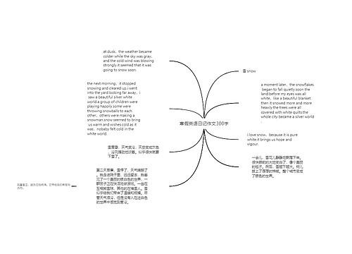 寒假英语日记作文300字