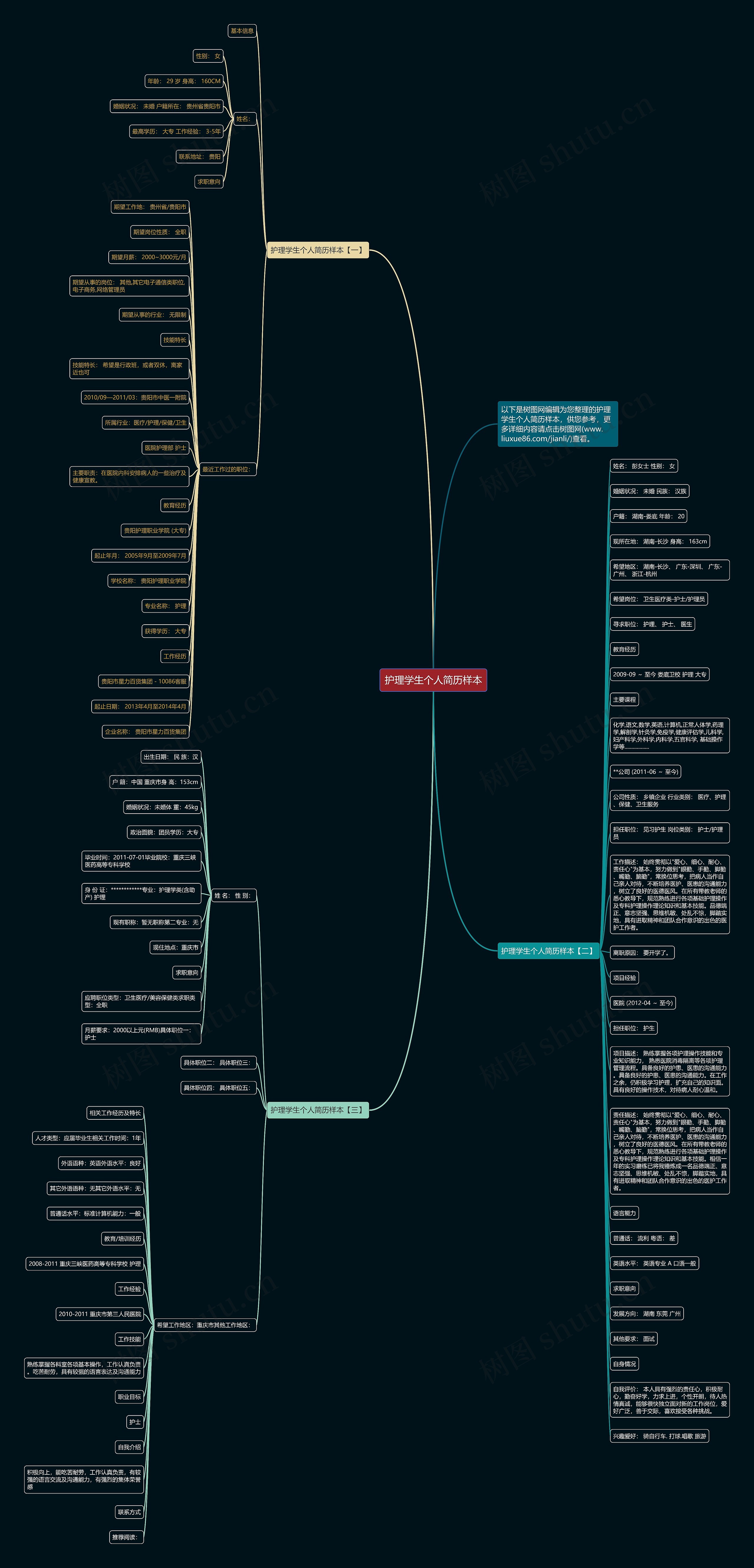 护理学生个人简历样本思维导图