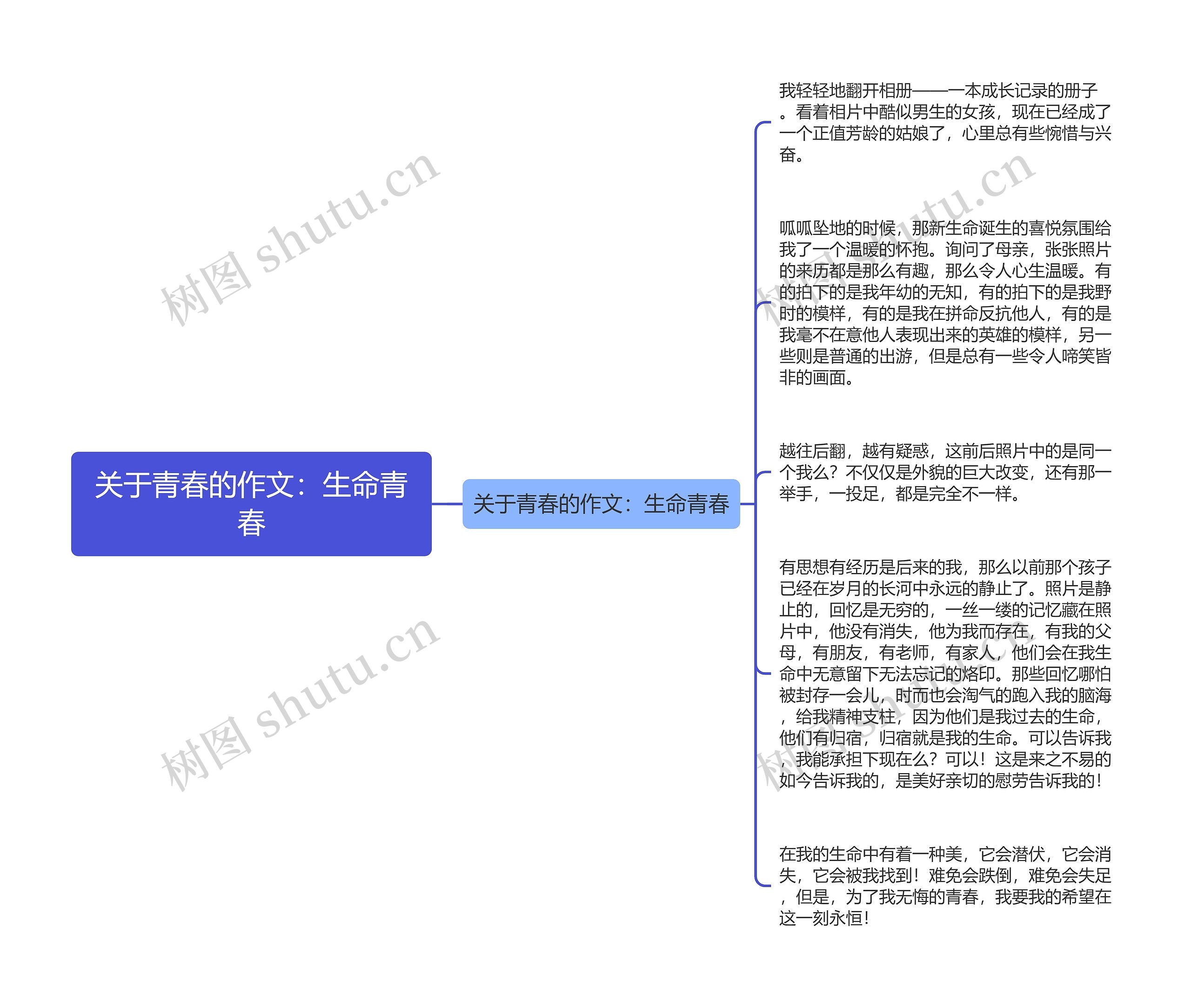 关于青春的作文：生命青春思维导图