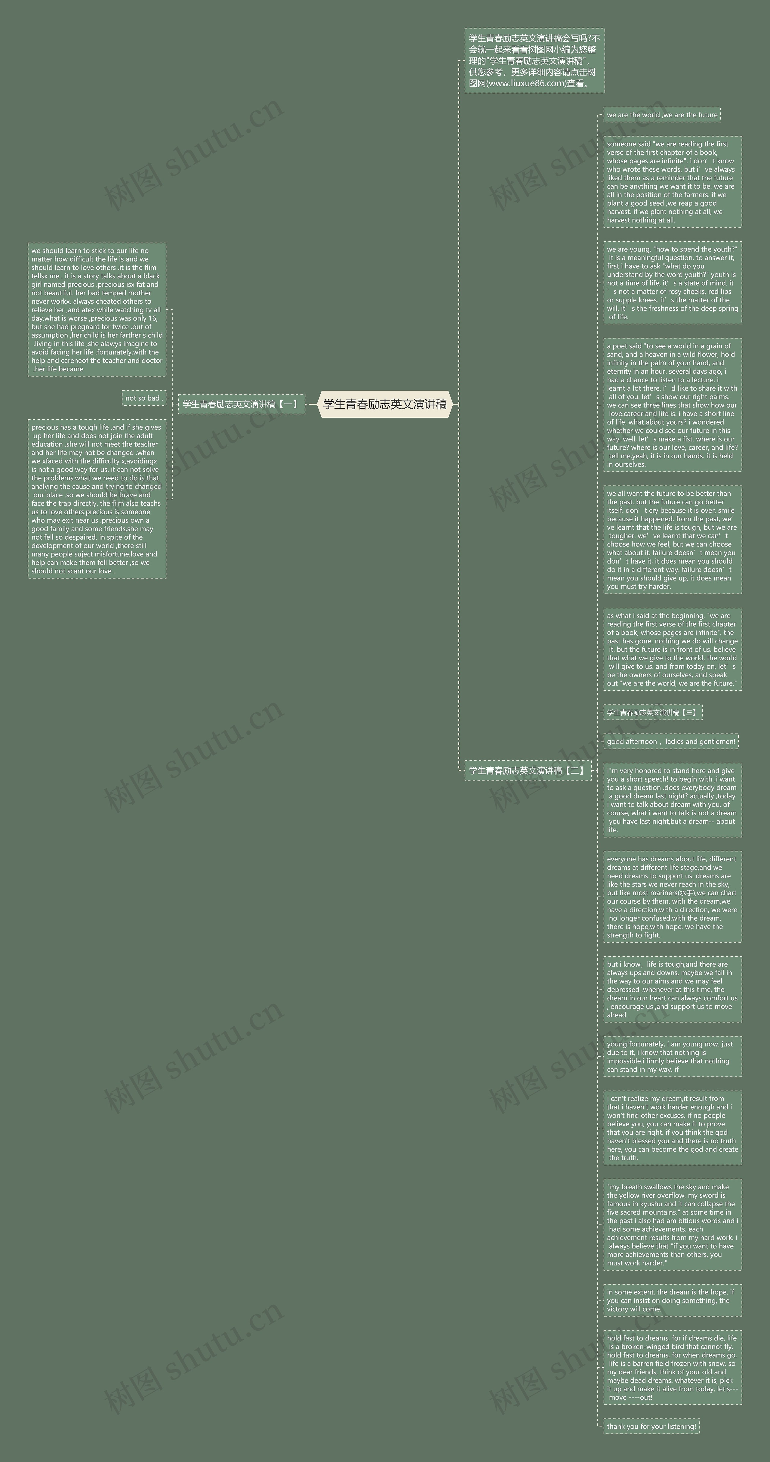 学生青春励志英文演讲稿思维导图