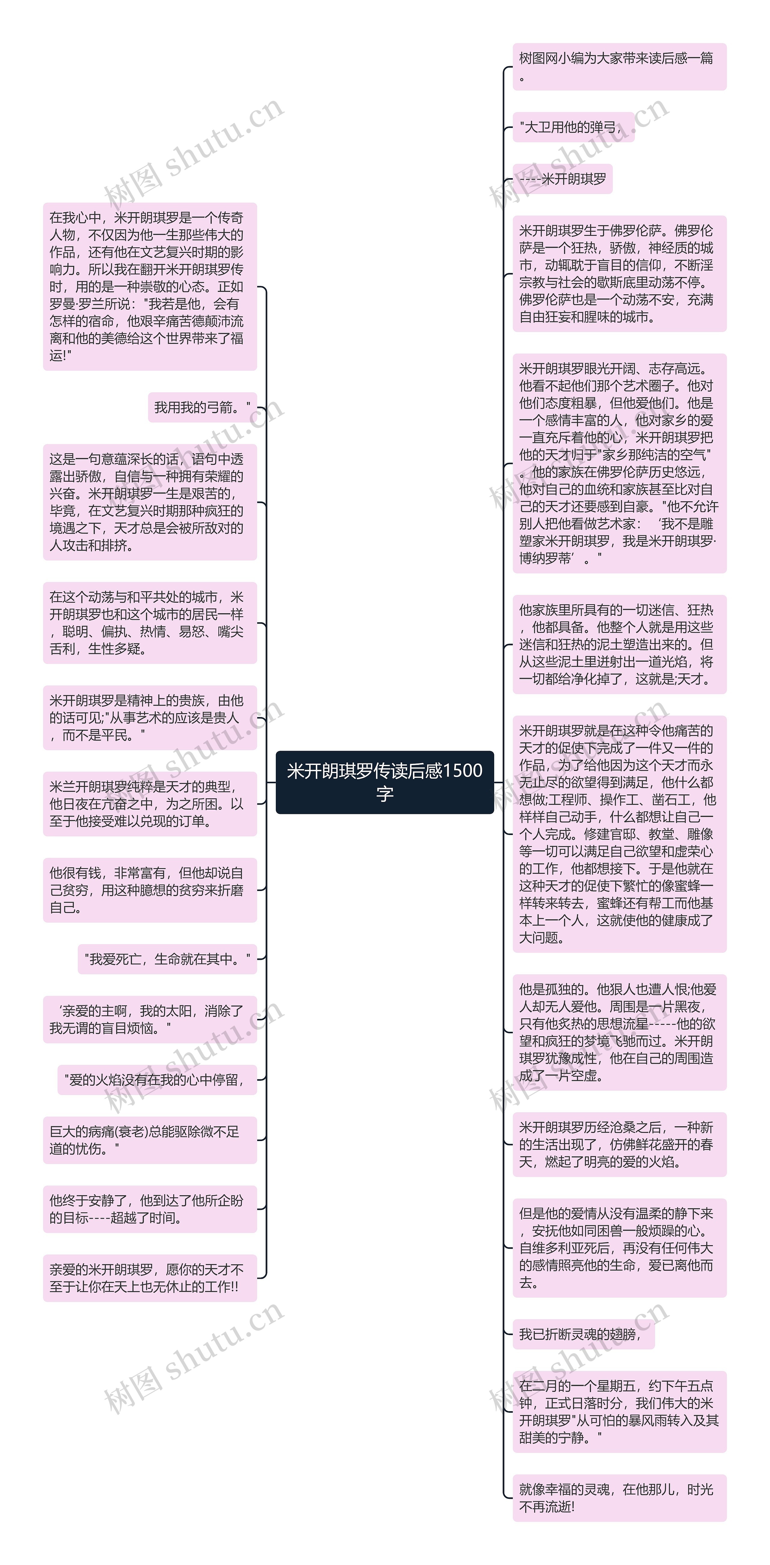 米开朗琪罗传读后感1500字