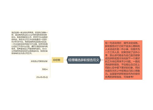 经理精选辞职报告范文