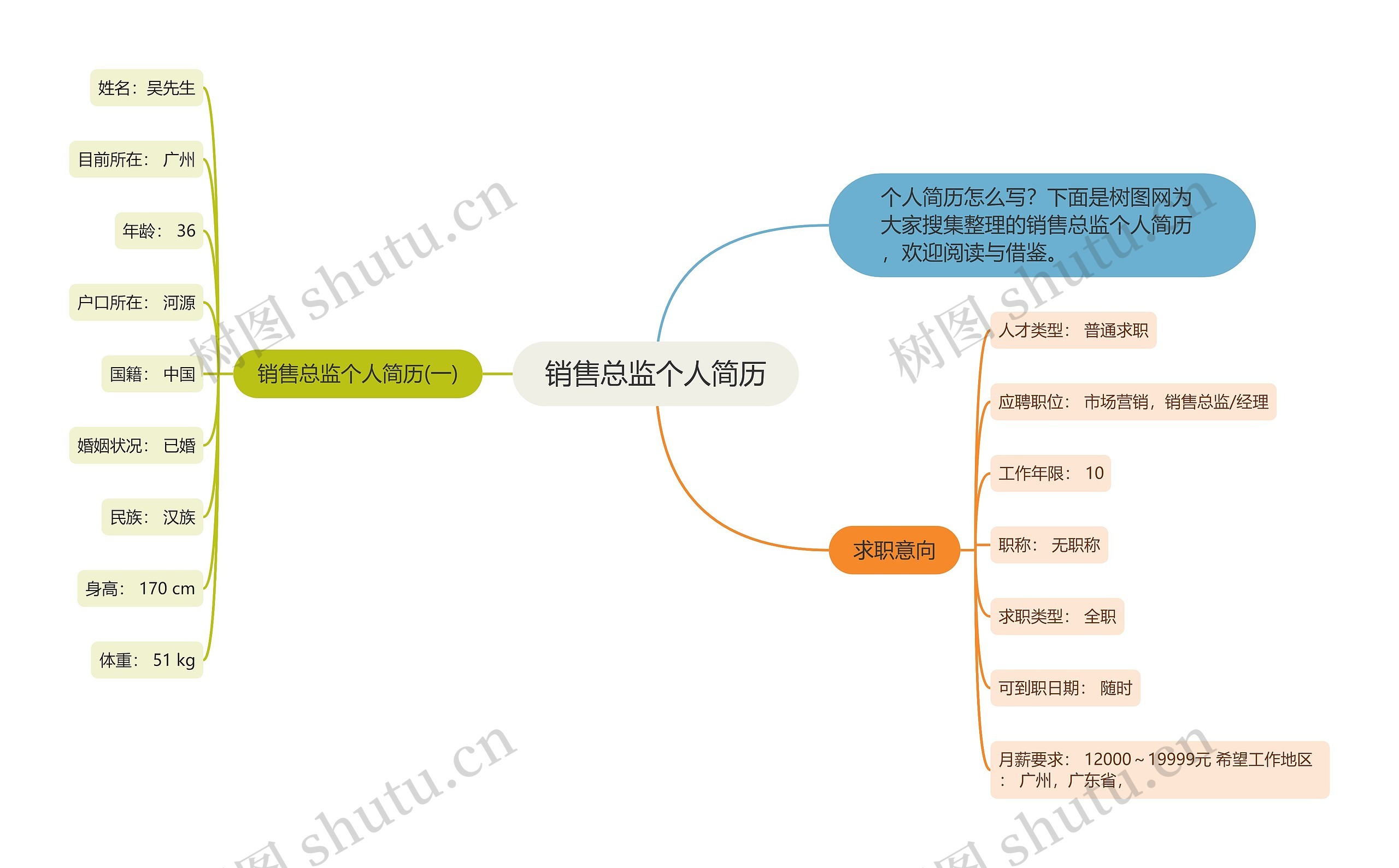 销售总监个人简历