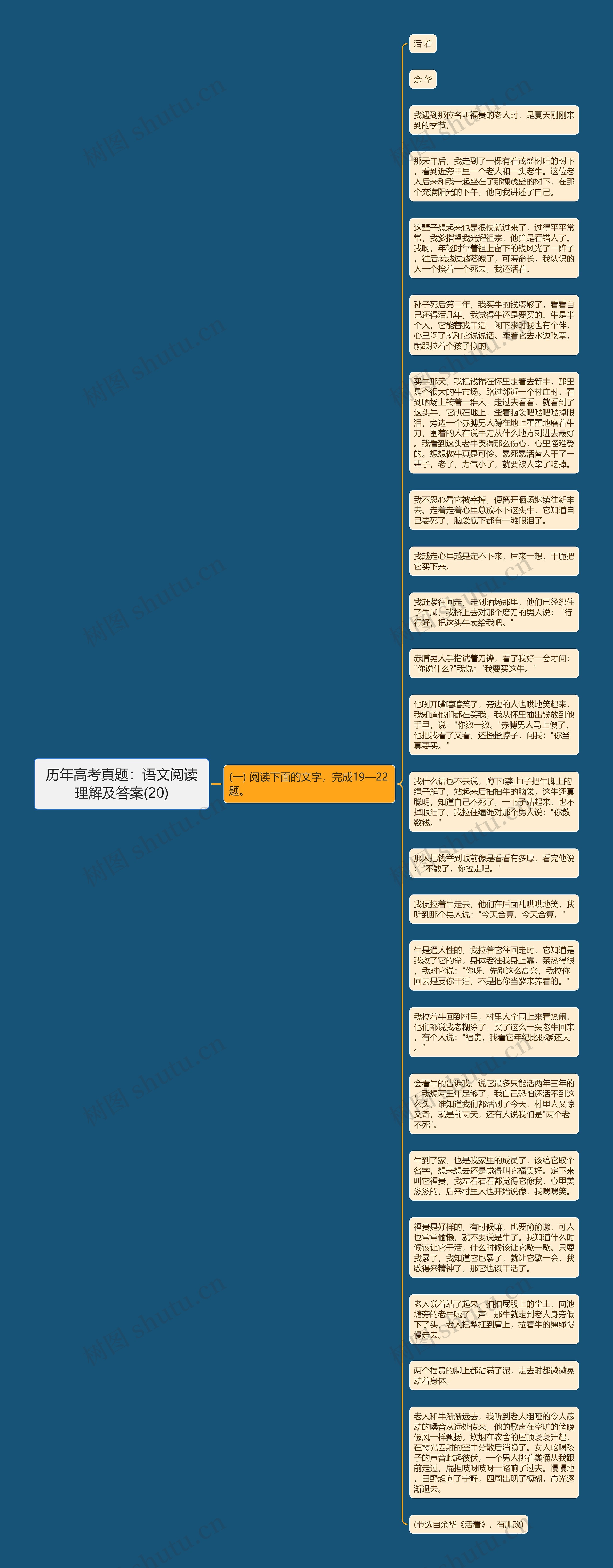 历年高考真题：语文阅读理解及答案(20)